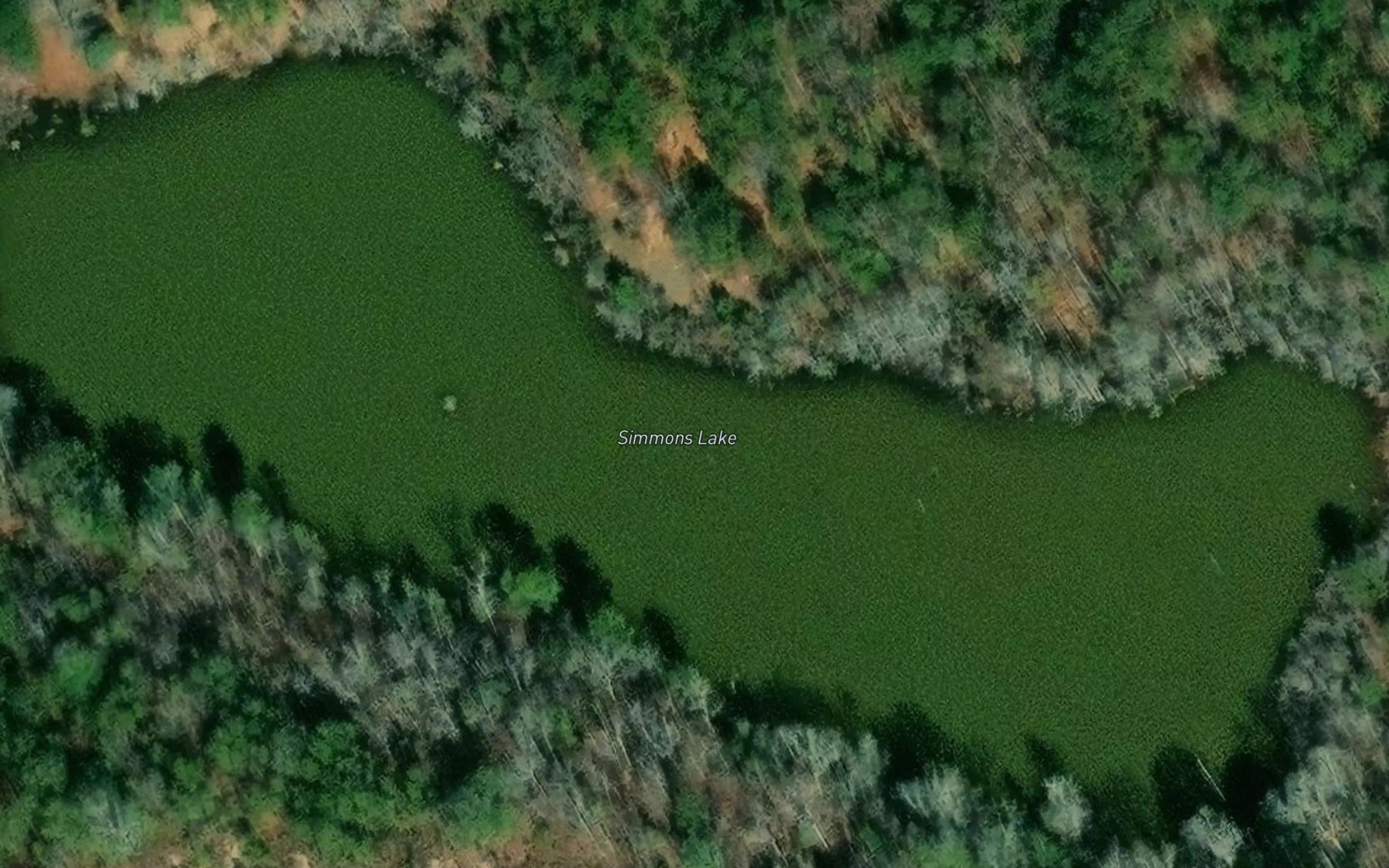 Satellite map of the Simmons Lake