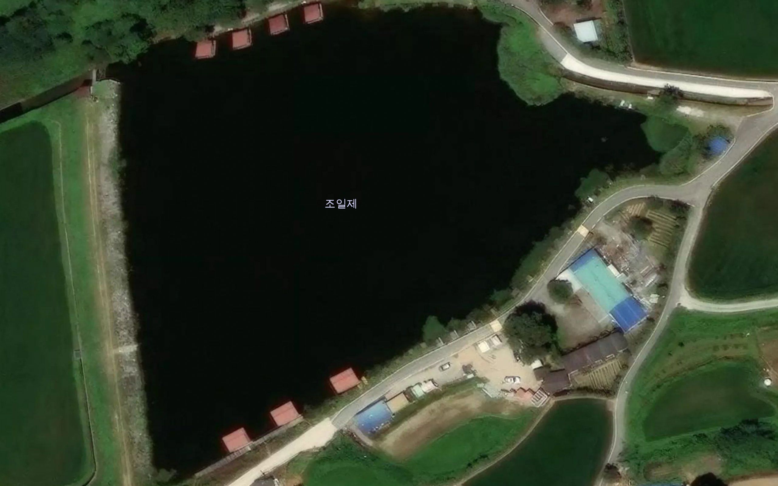 Joilji