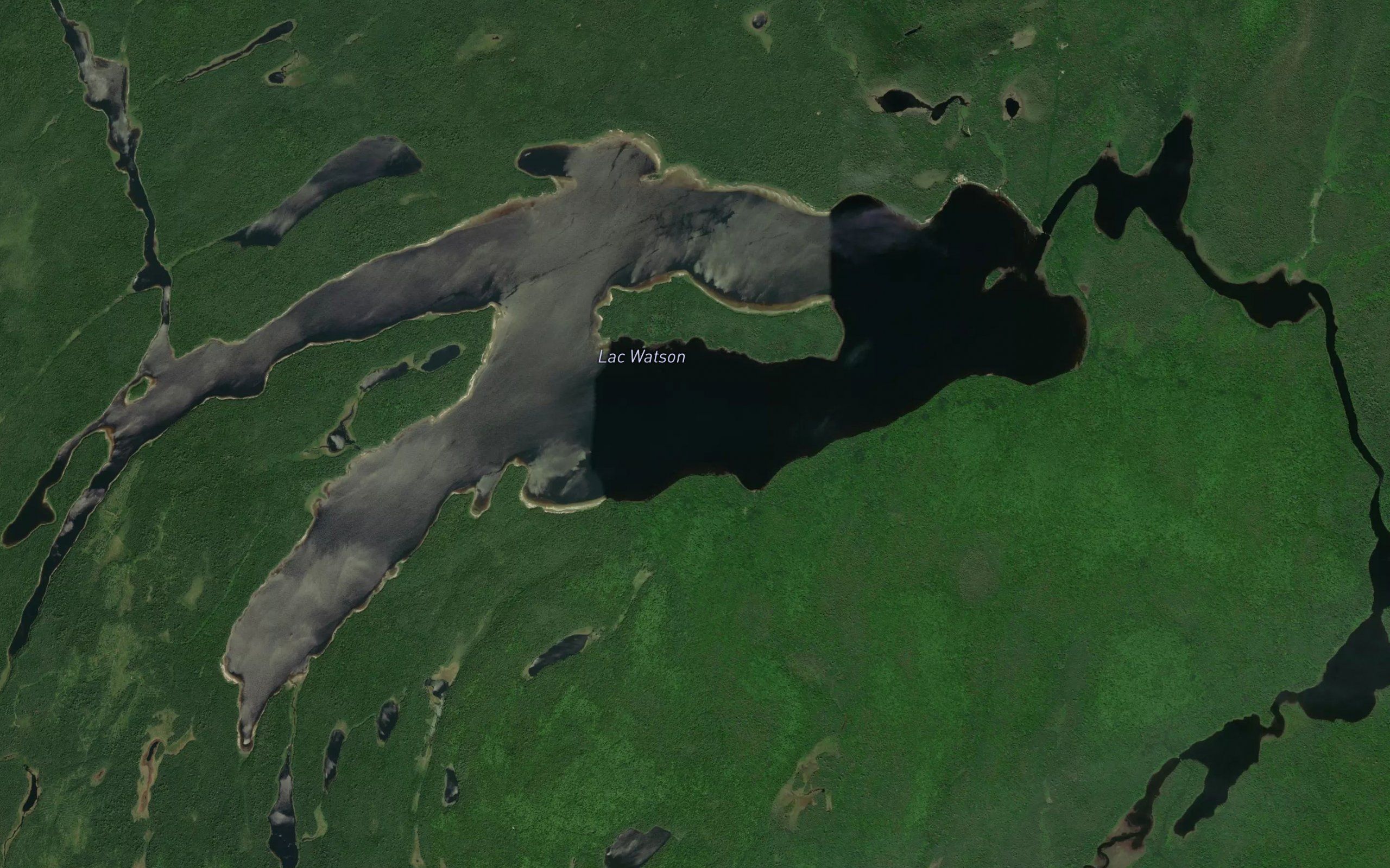 Lac Watson