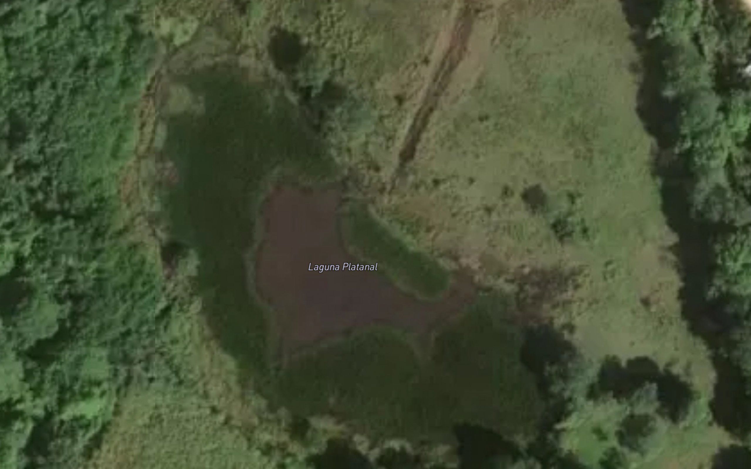 Laguna Platanal