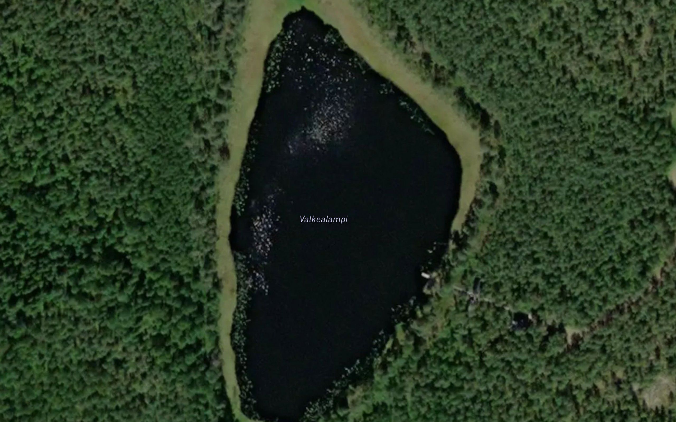 Valkealampi