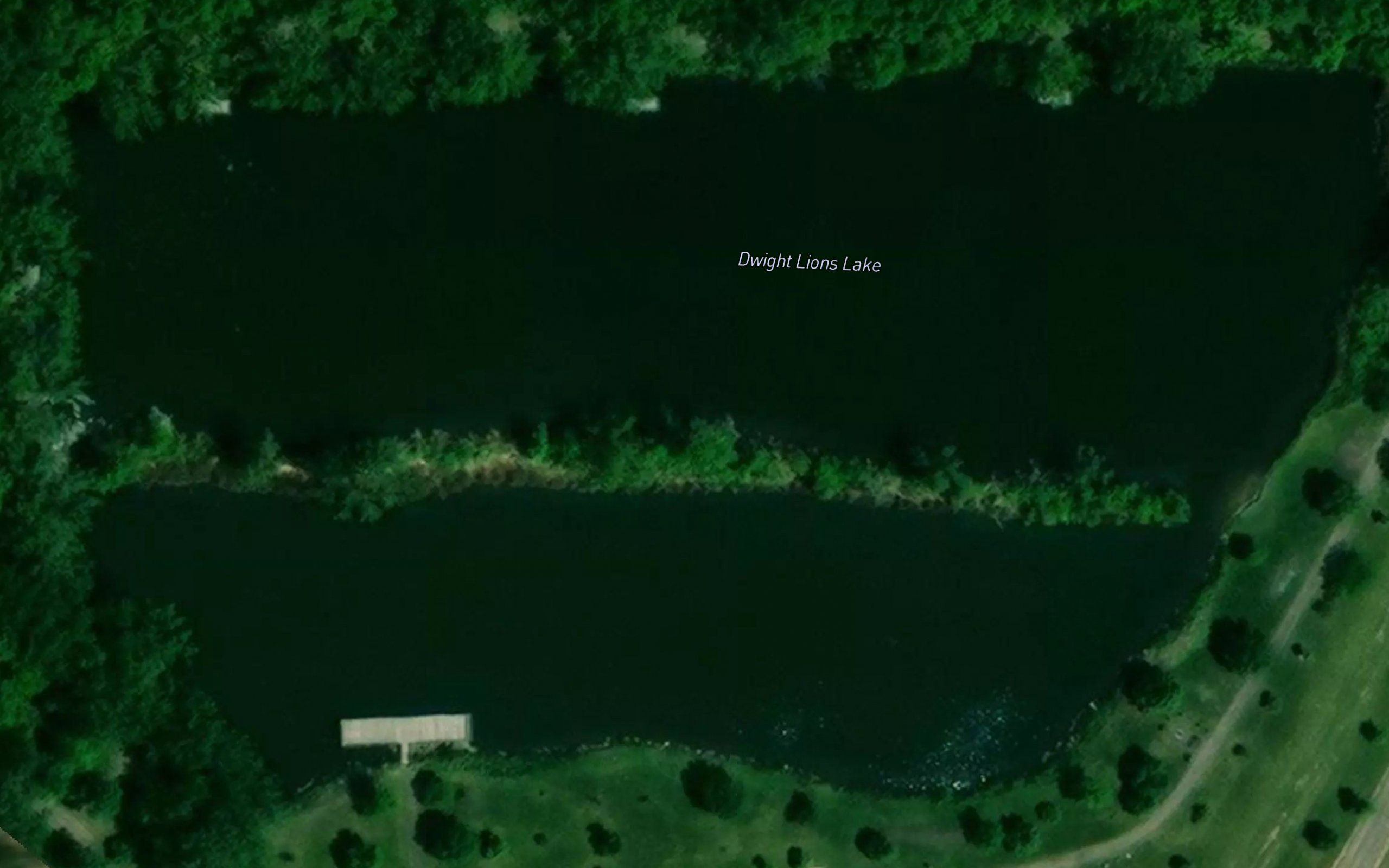 Dwight Lions Lake