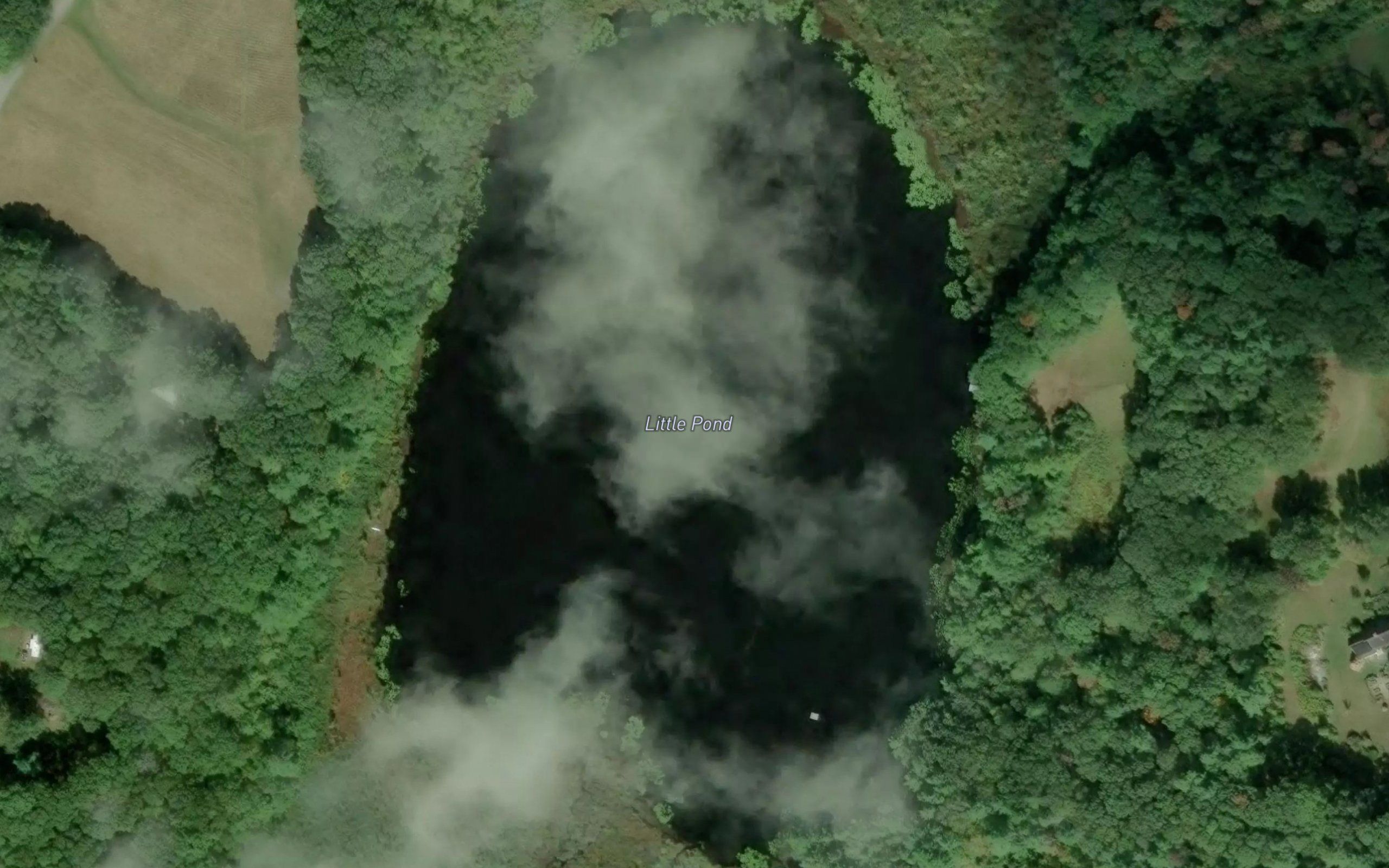 Little Pond