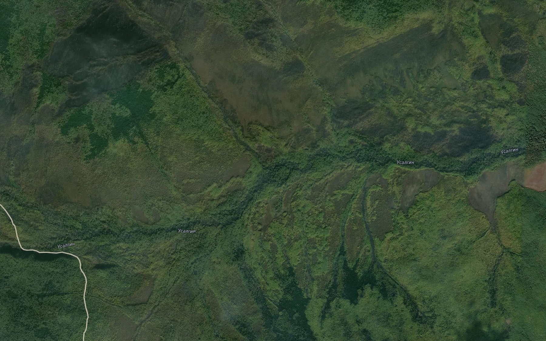 Satellite map of the Klyuchevoy