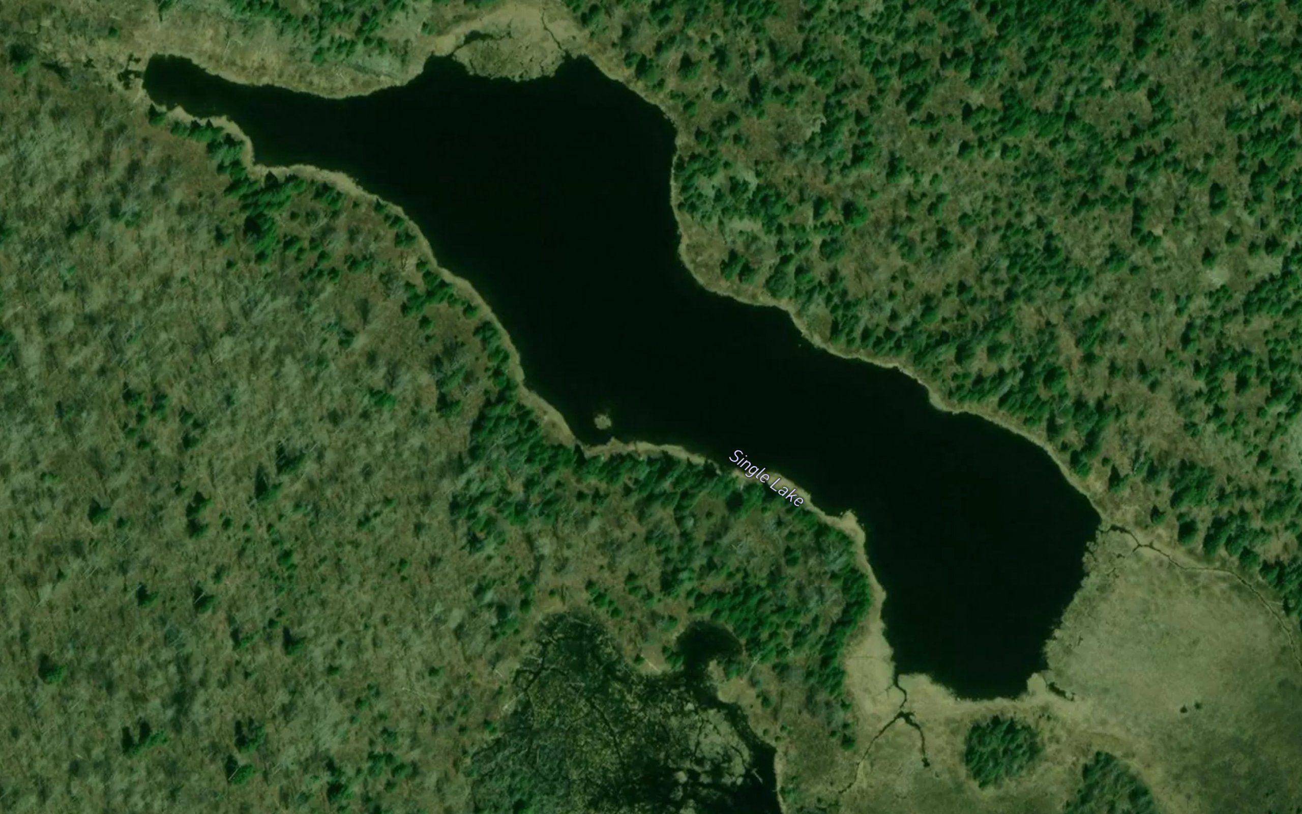 Single Lake