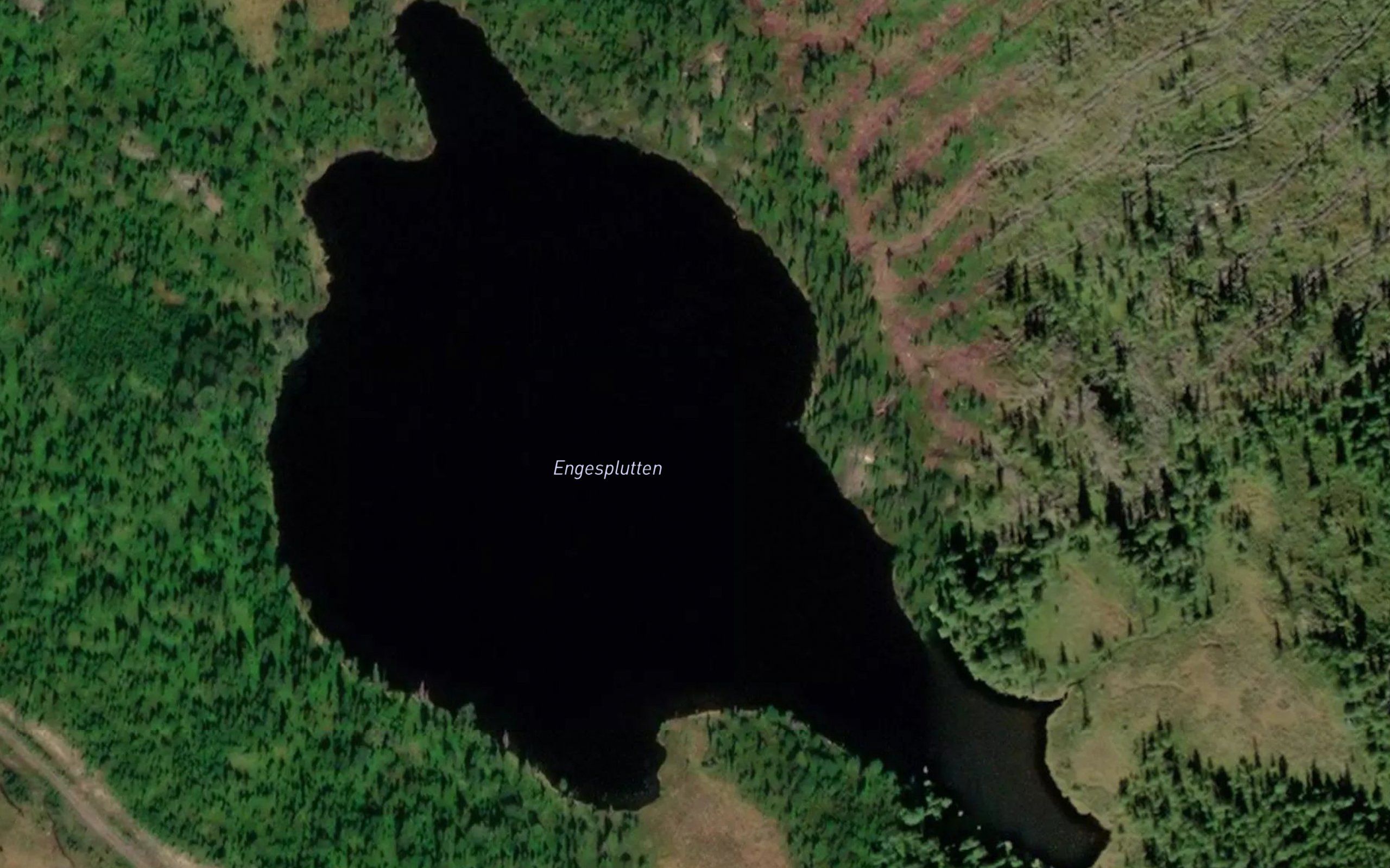 Bengttjonna