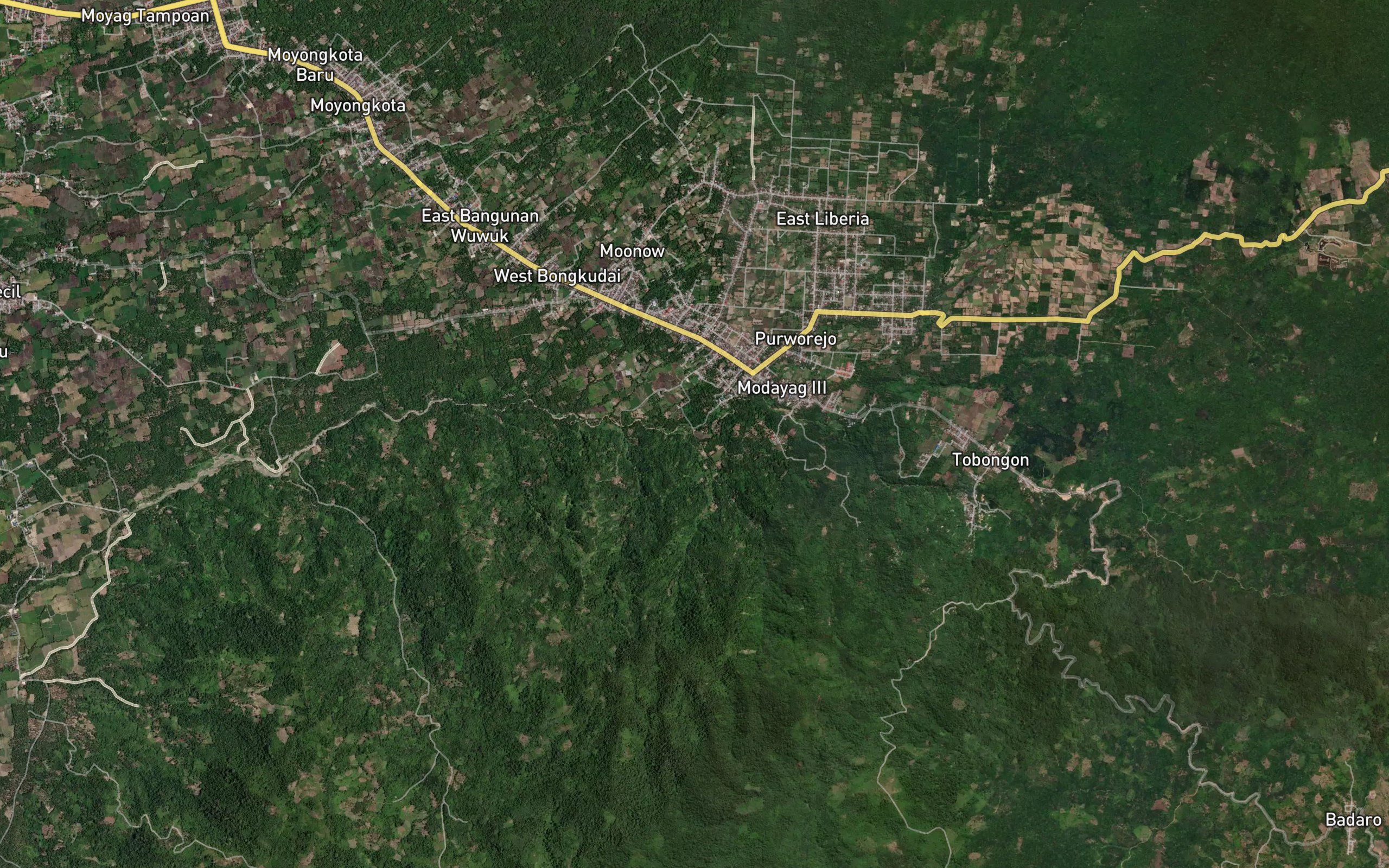 Tapa Tuui