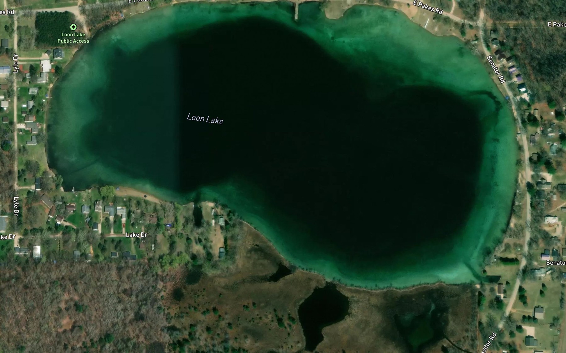Satellite map of the Loon Lake