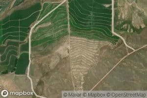 Bog Springs Creek