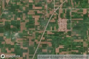 Okara Four Left Distributary