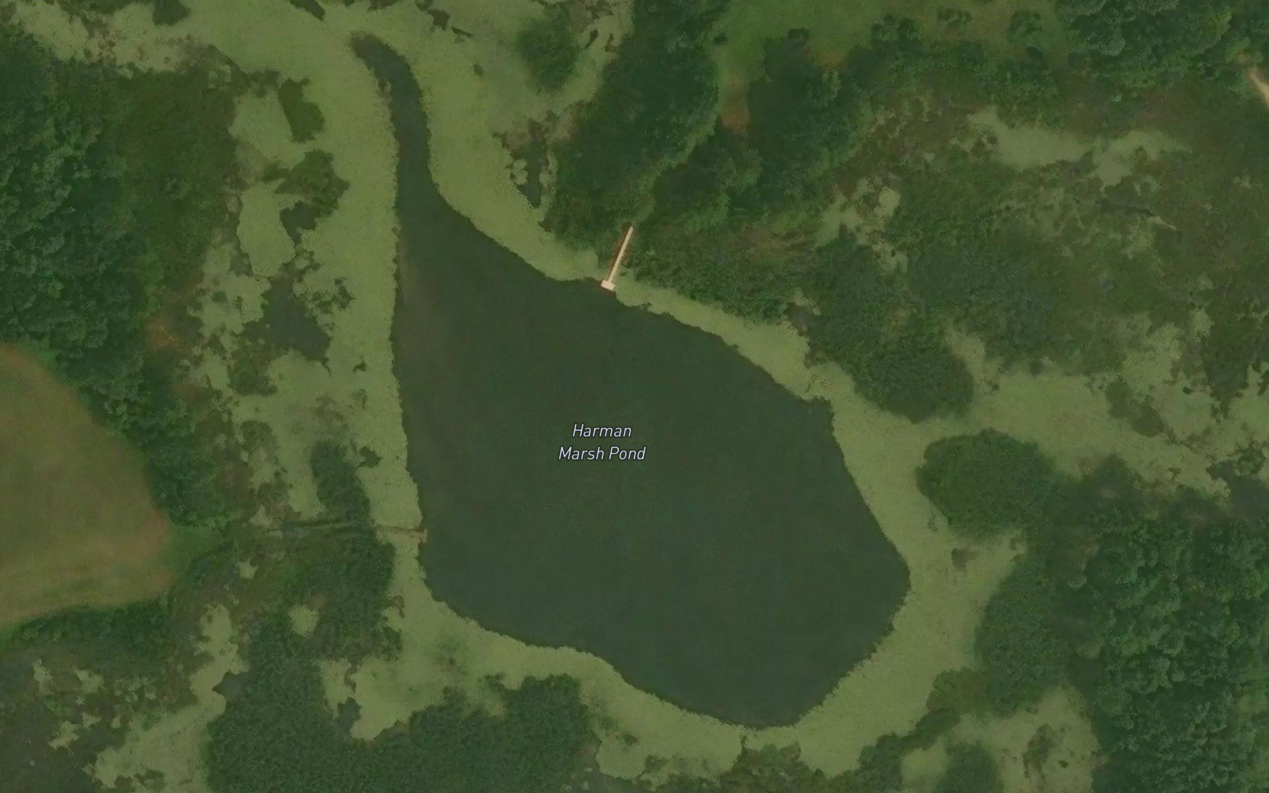 Harman Marsh Pond