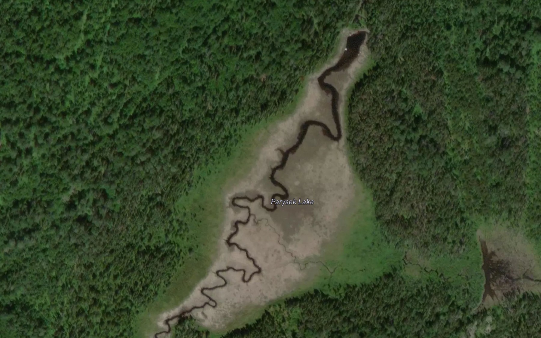 Satellite map of the Parysek Lake