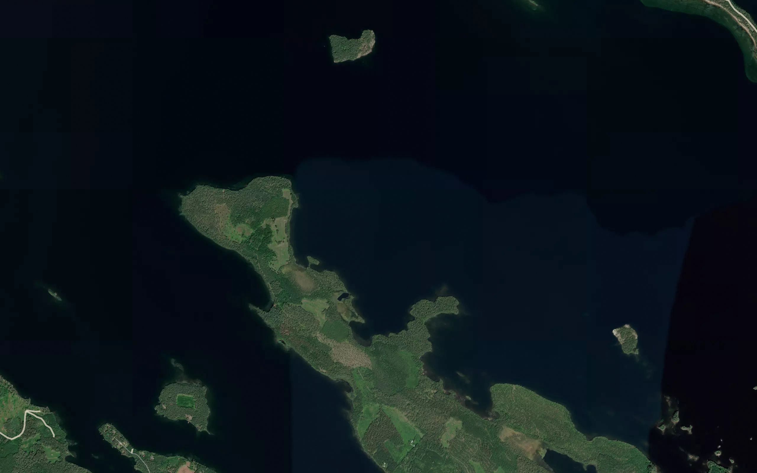 Laurinluodonapajat