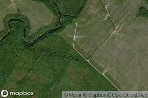 North Branch East Brook