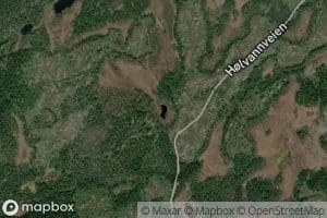 Kattetjern
