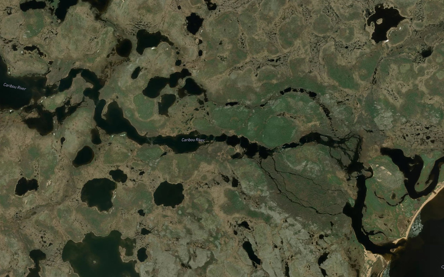 Satellite map of the Brooks Rapids