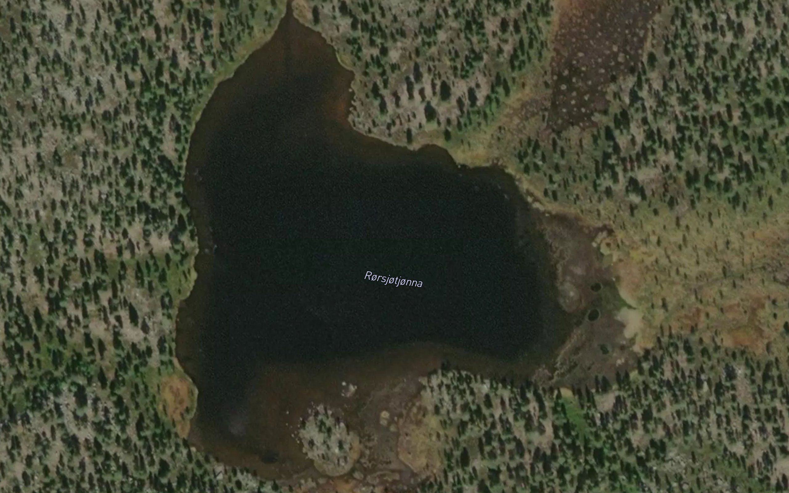 Rorsjotjorna