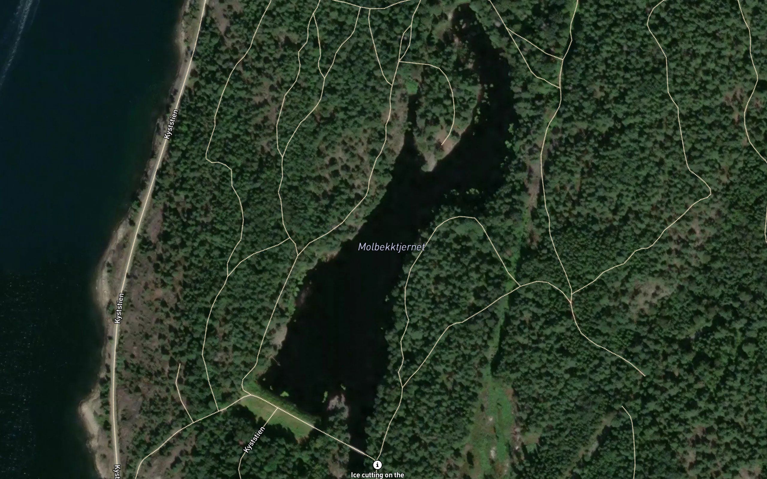 Molbekktjernet