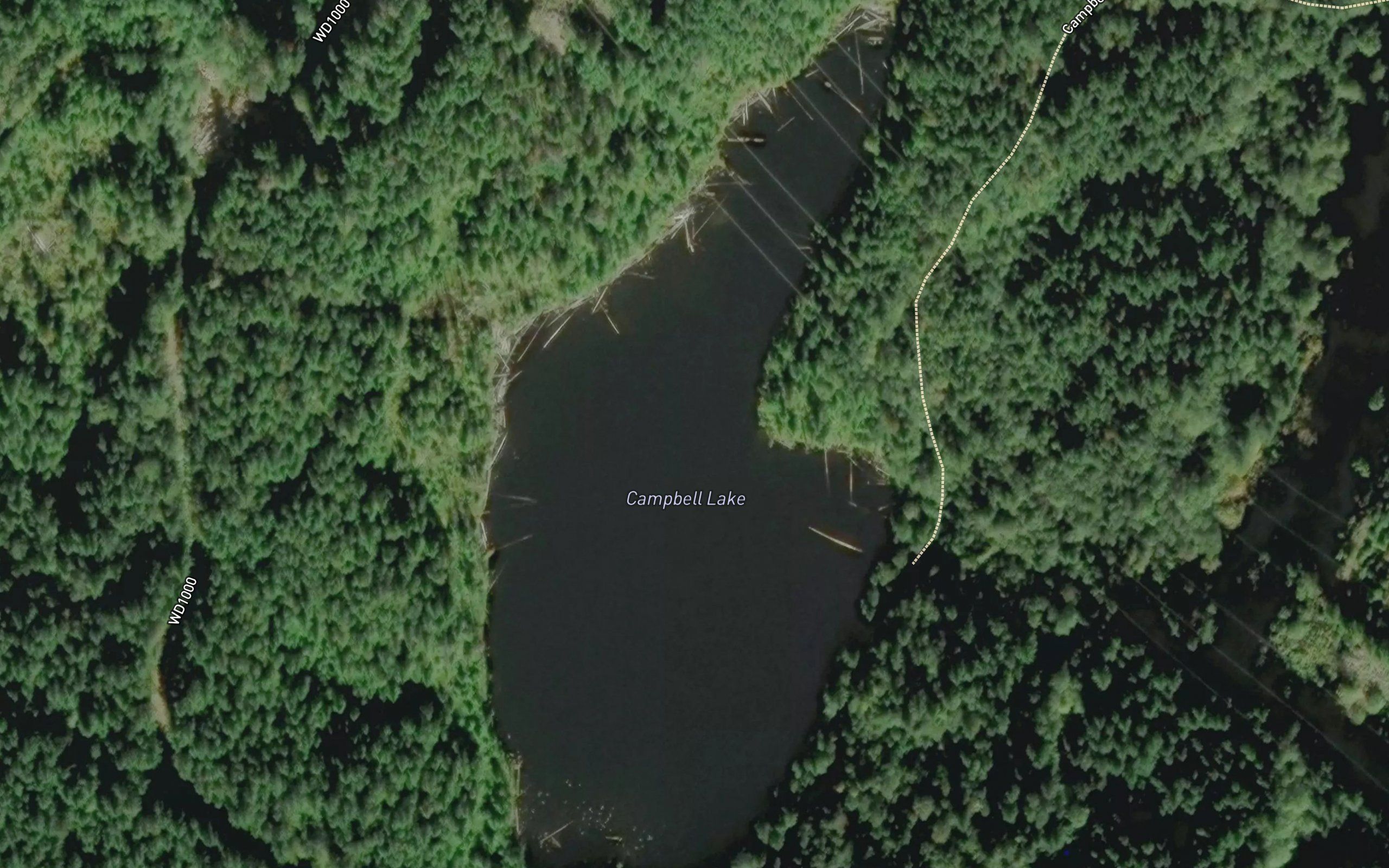Campbell Lake