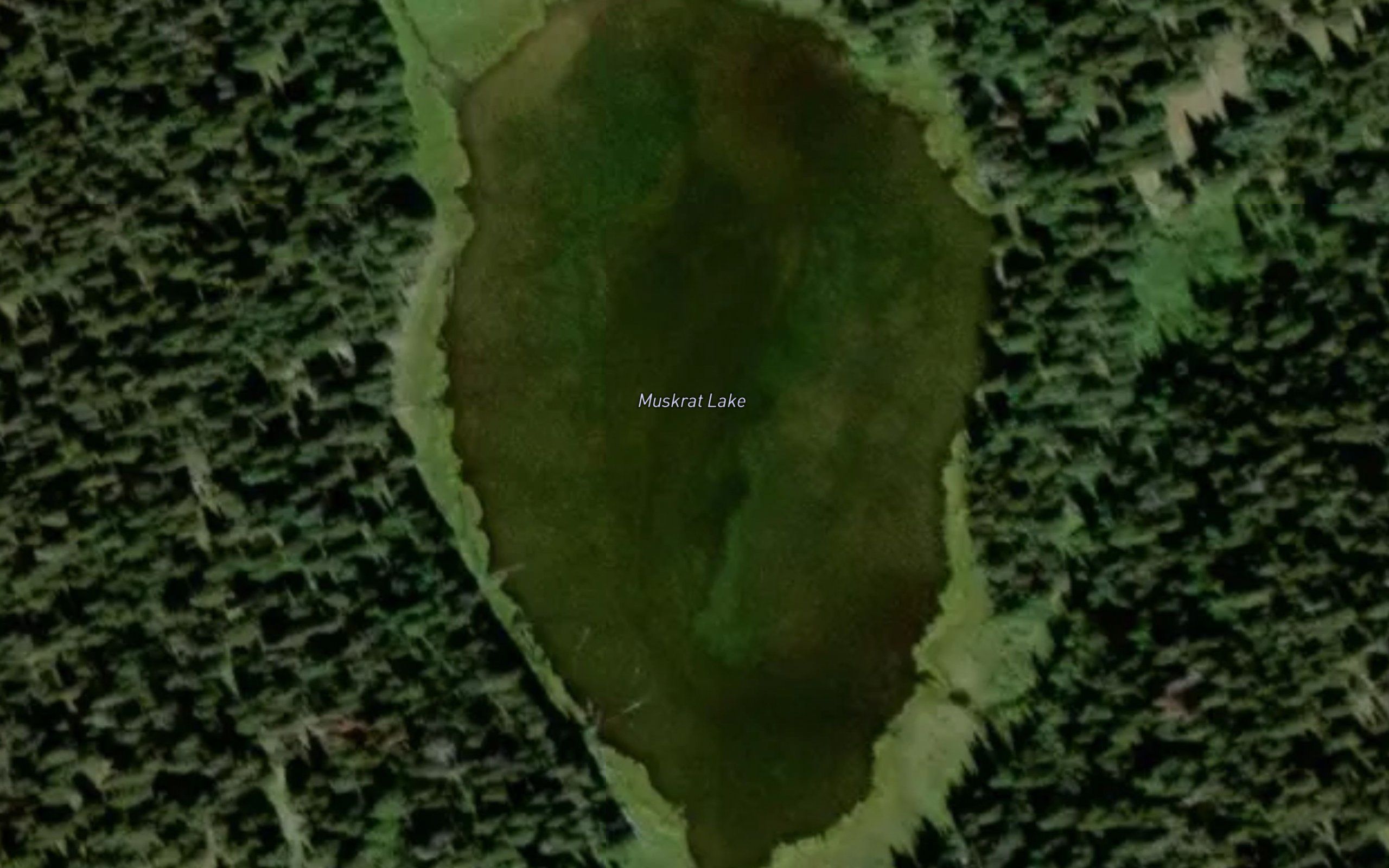 Muskrat Lake