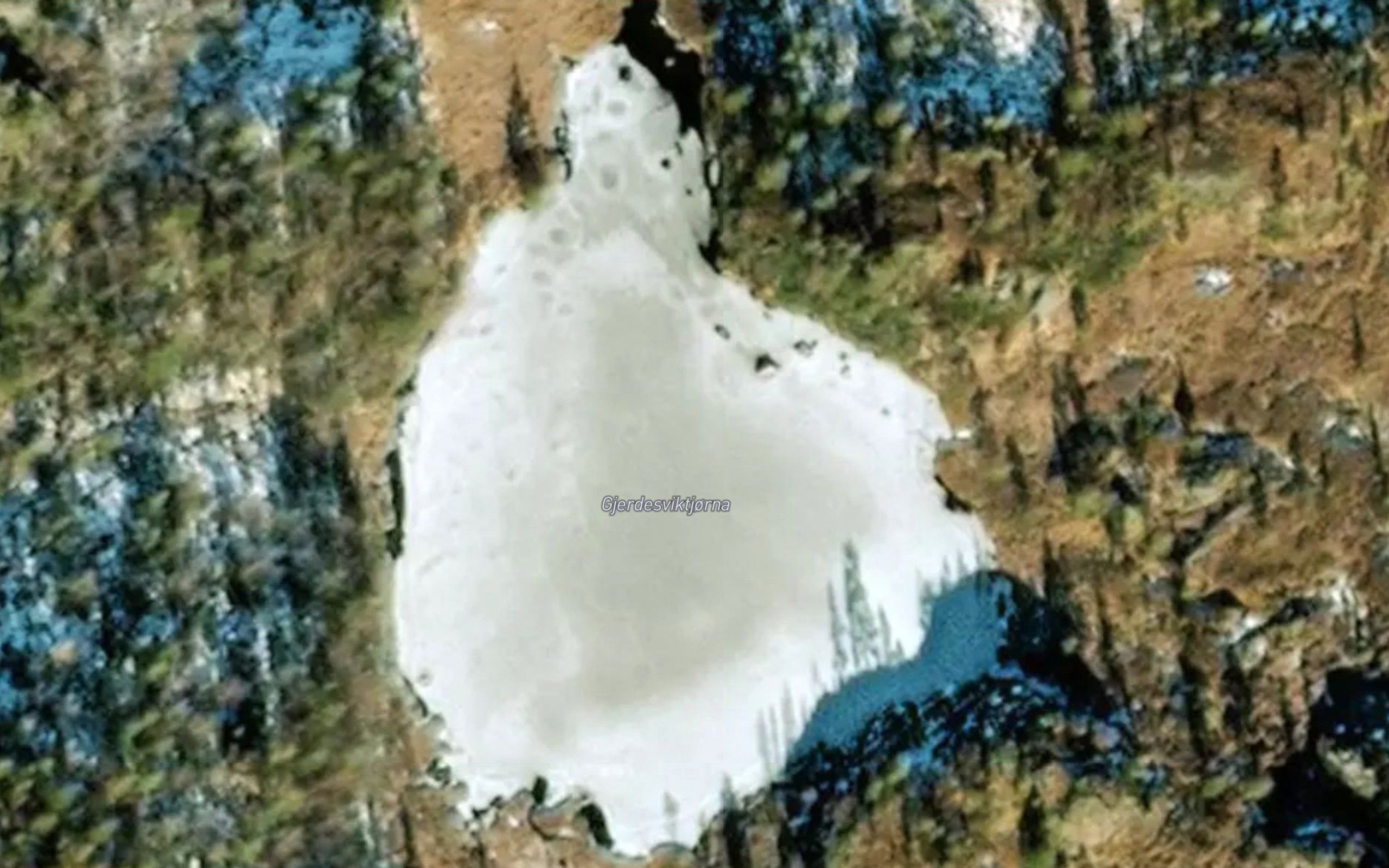 Gjerdesviktjorna