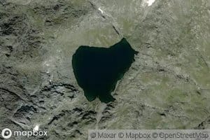 Vargtjorna