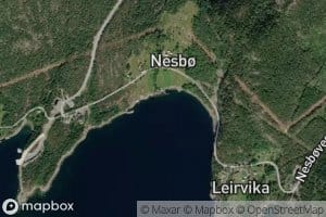 Nesvika