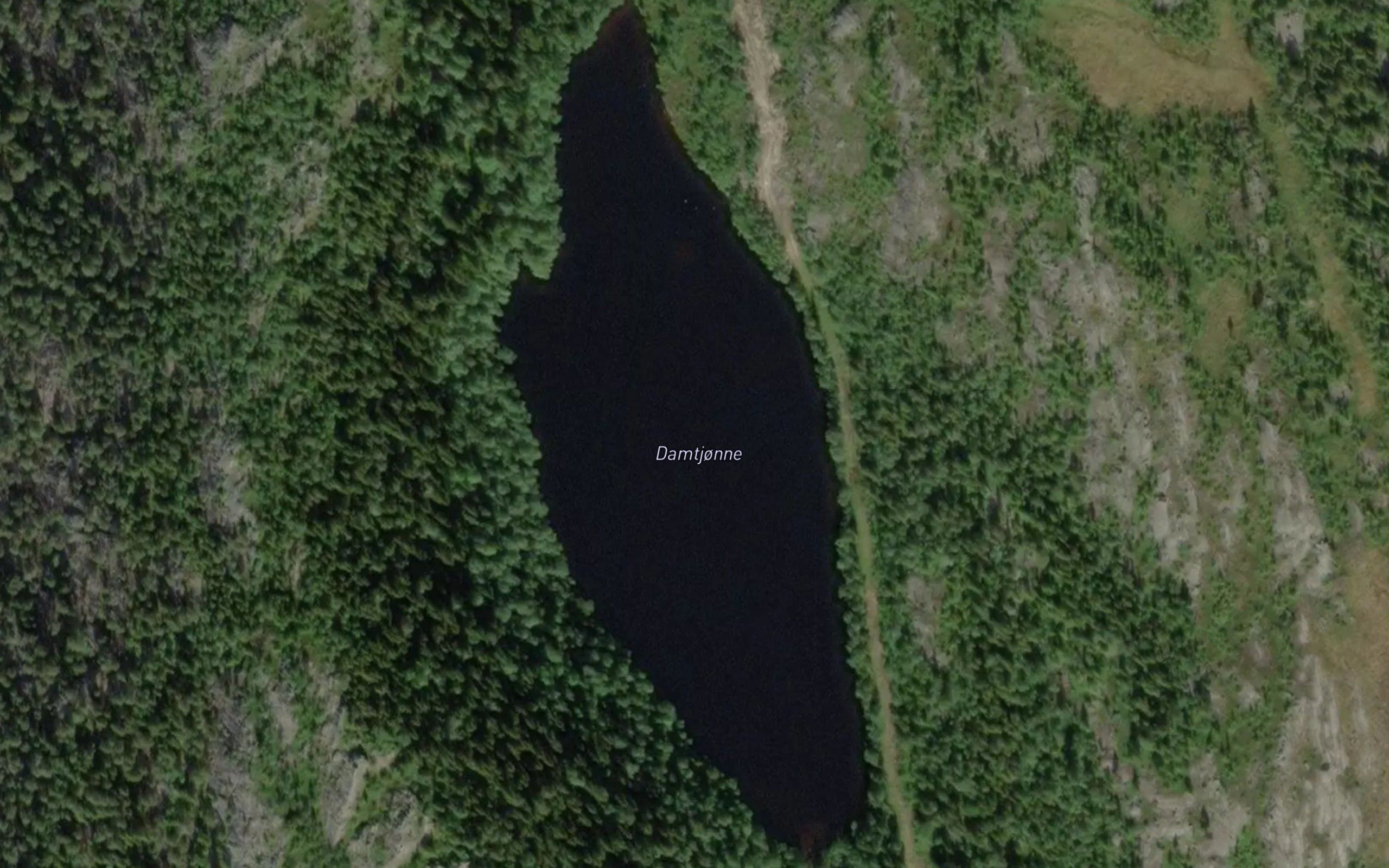 Damtjorni