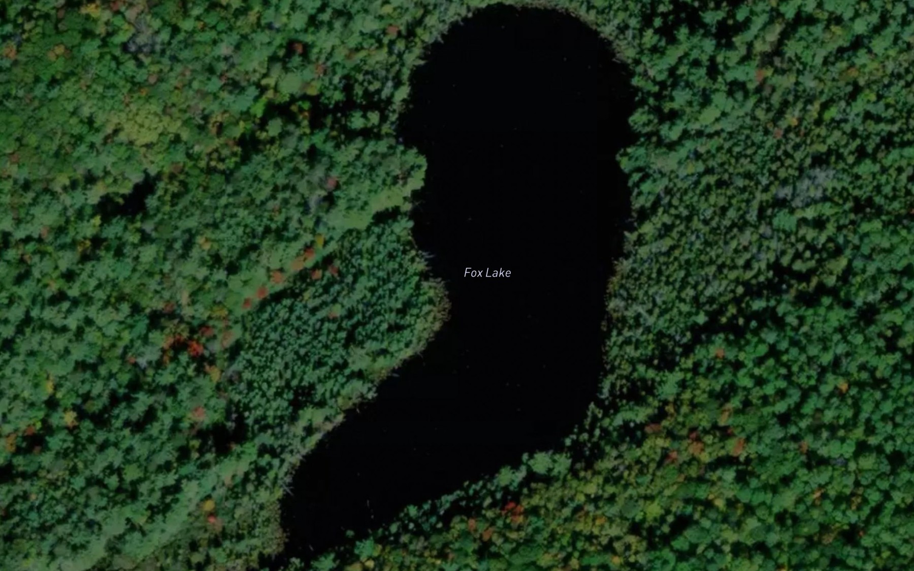 Satellite map of the Fox Lake