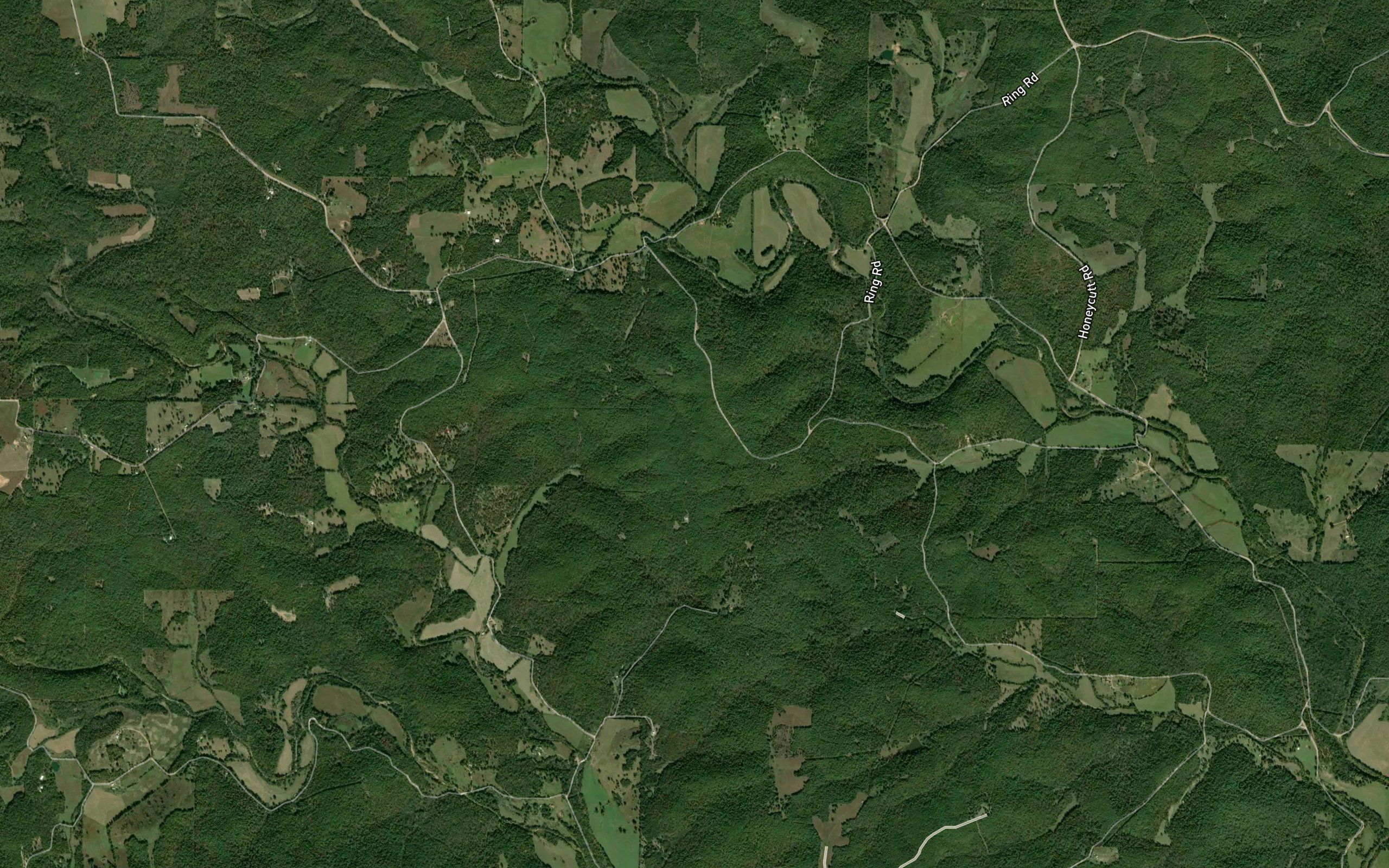 Persimmon Pond