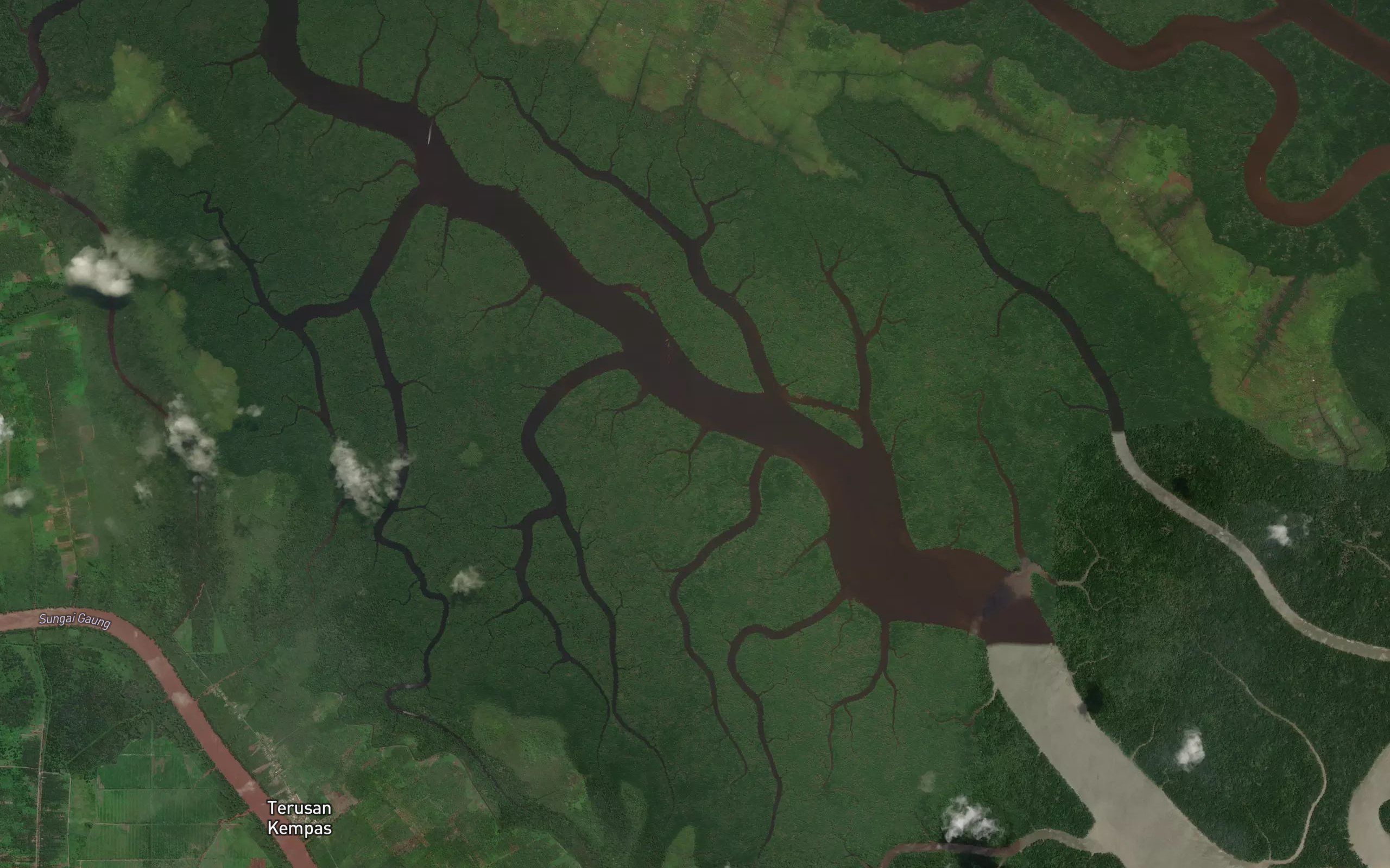 Sungai Anak Kulit Kerang Hilir