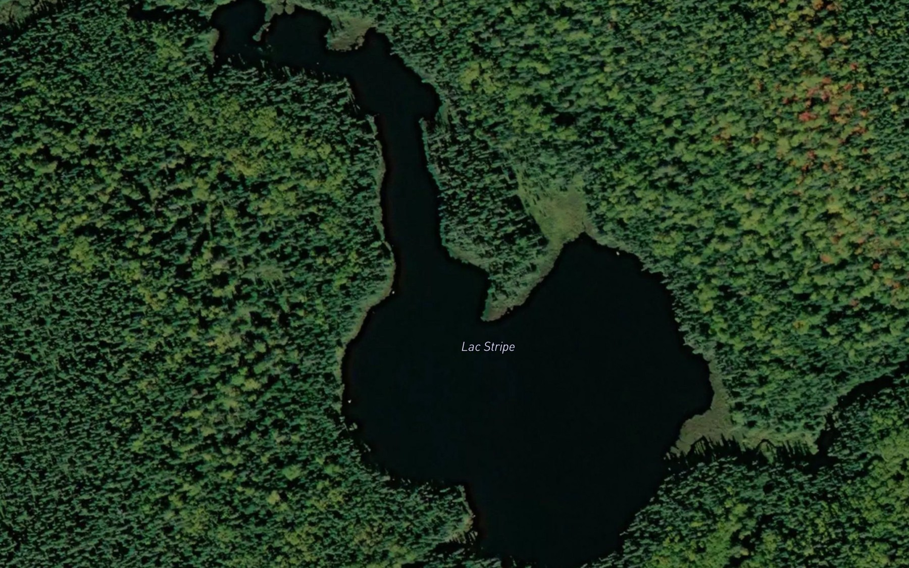 Satellite map of the Lac Stripe