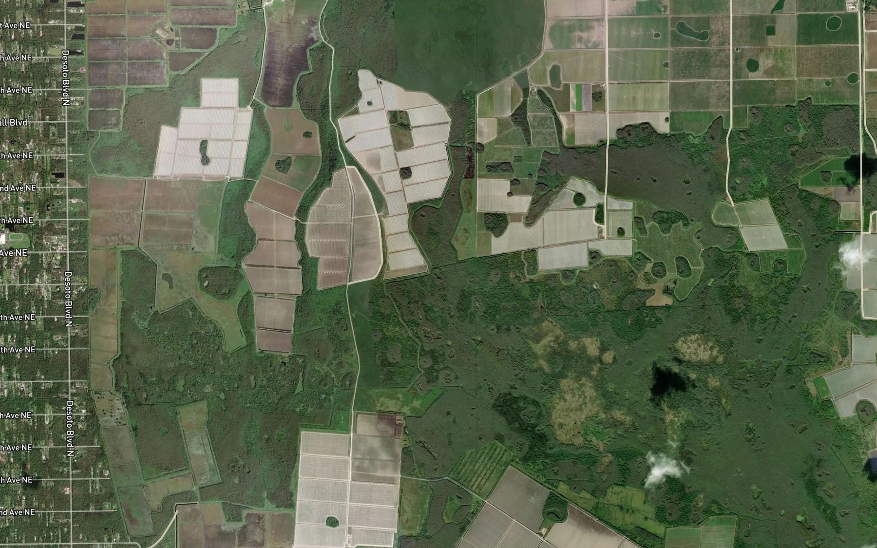 Satellite map of the Cox Lake