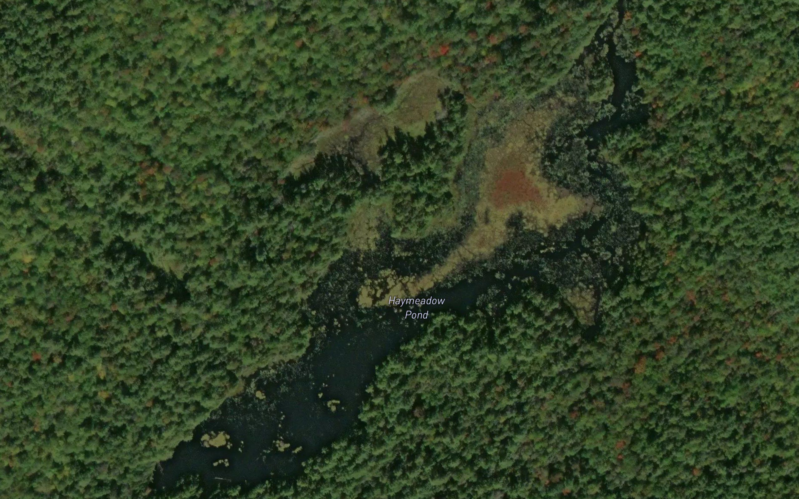 Haymeadow Pond