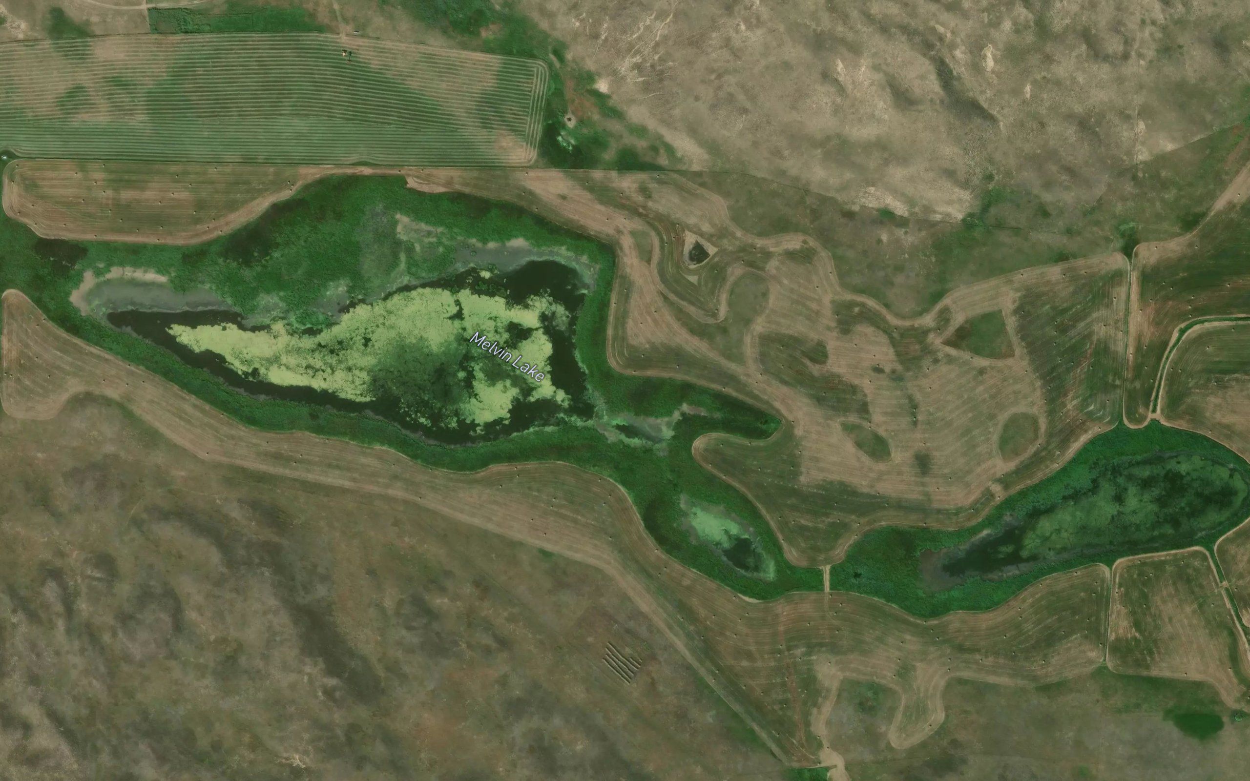 Melvin Lake