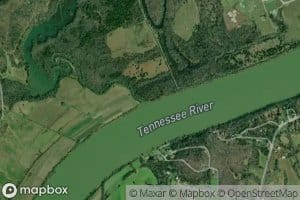 Yellow Creek
