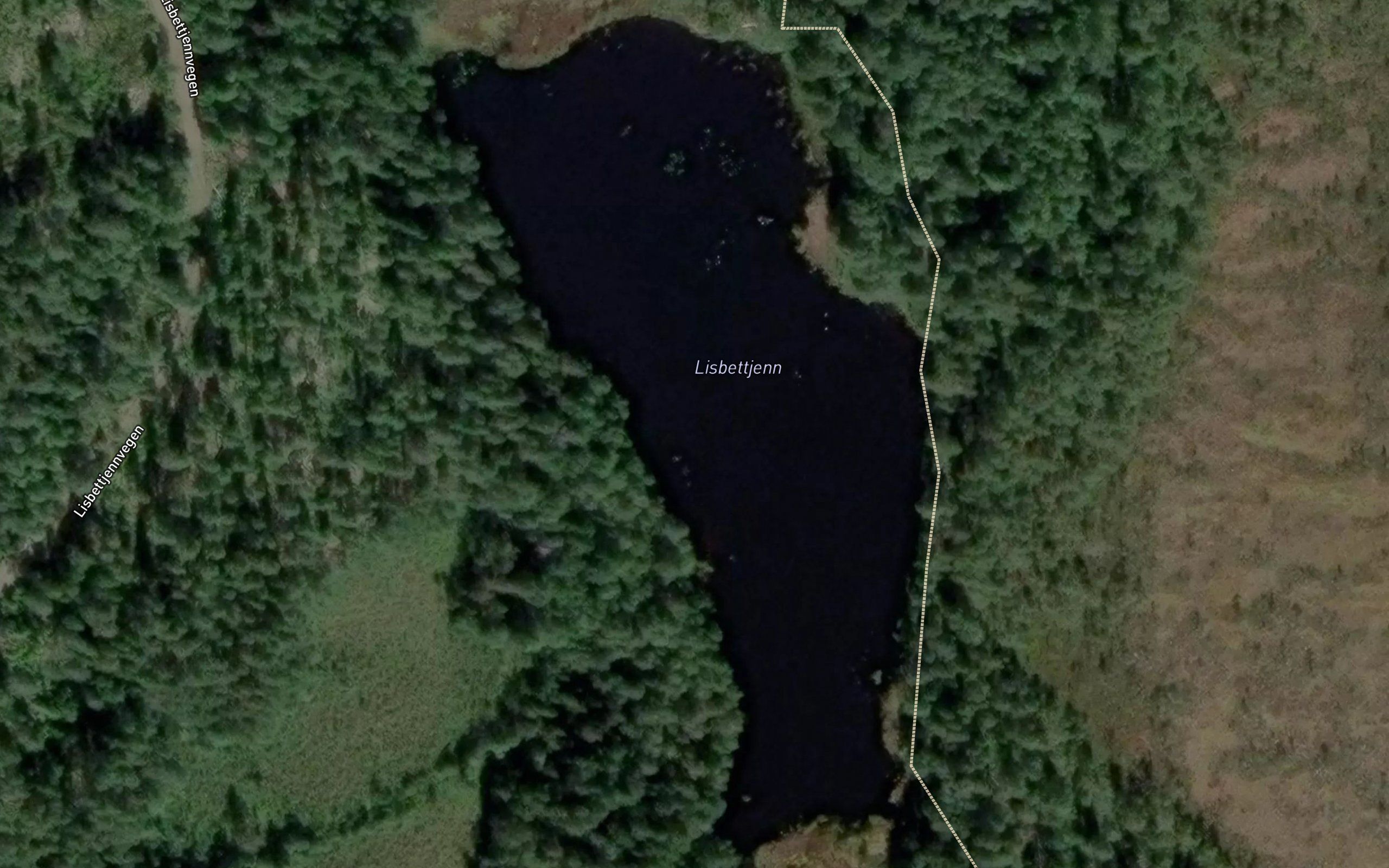 Lisbettjern