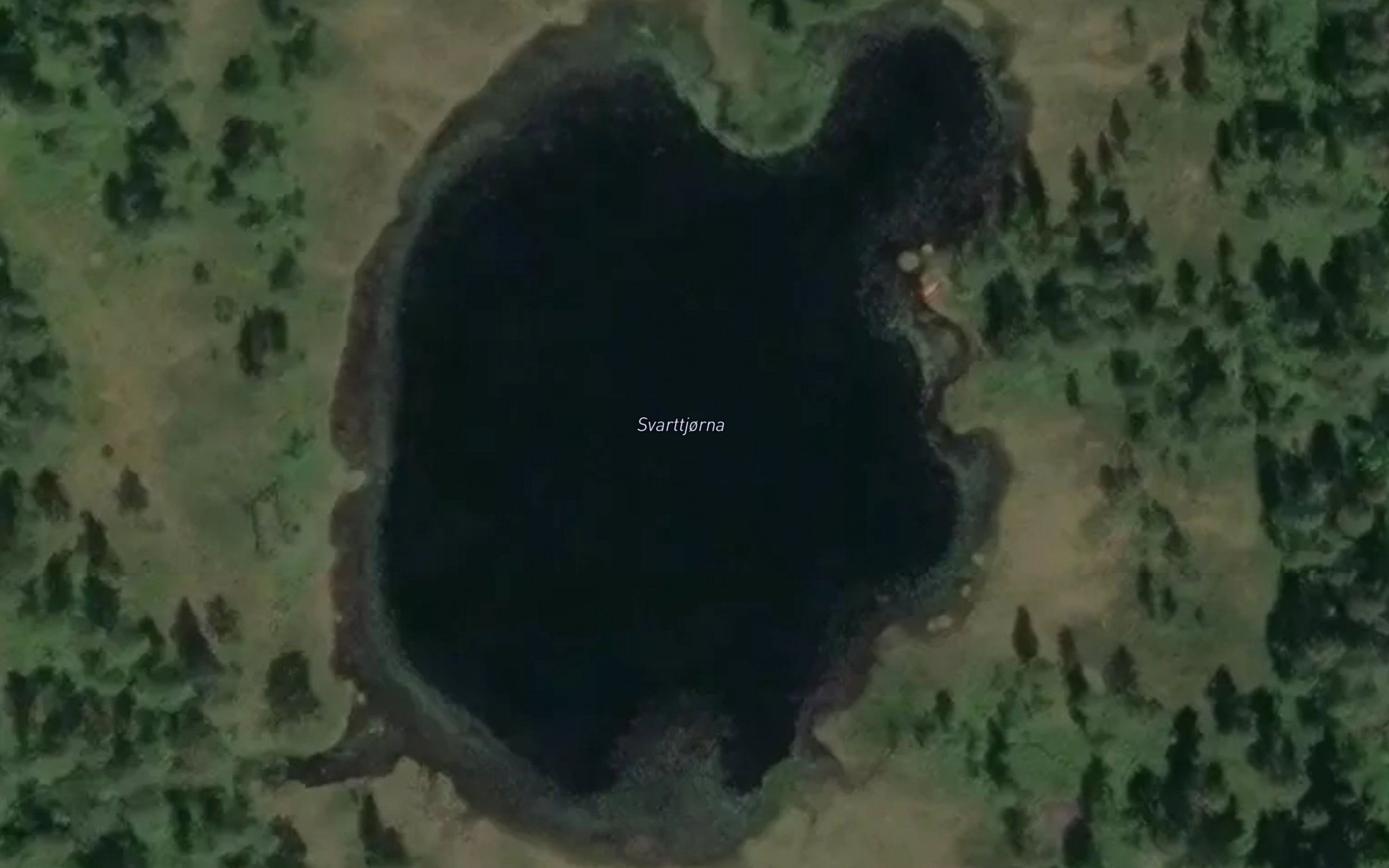 Svarttjorna