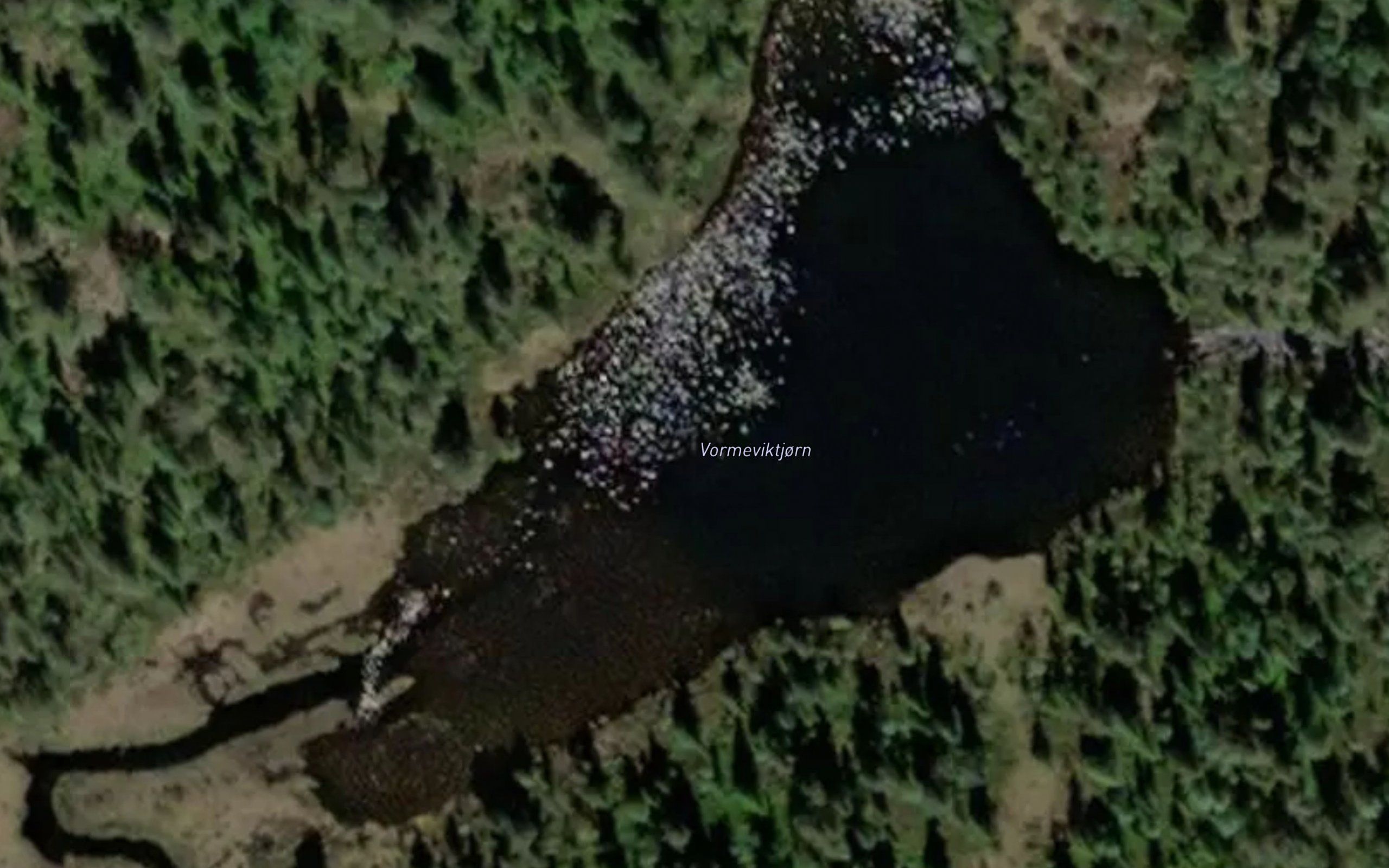Vormeviktjorn