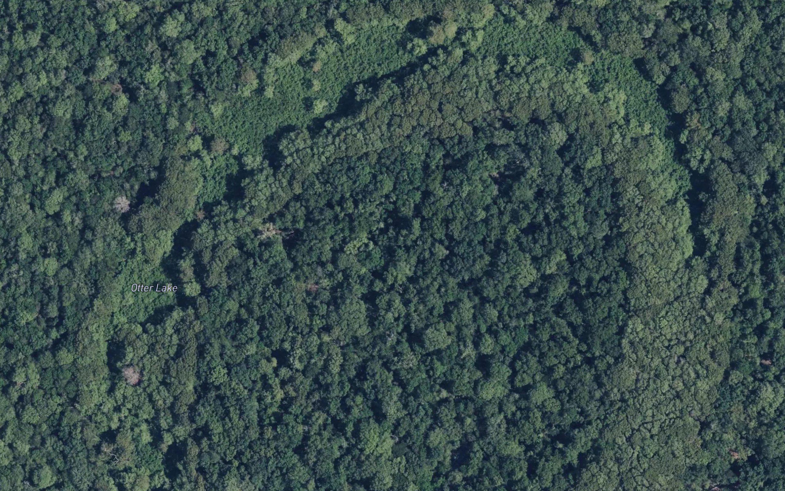 Otter Lake