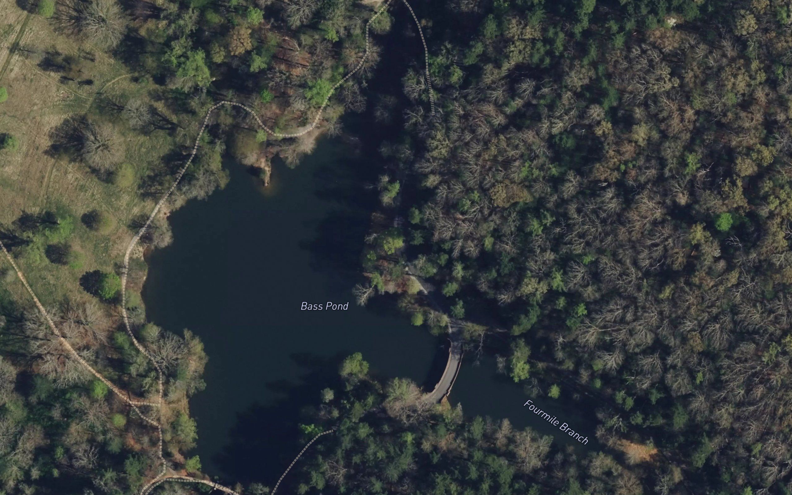 Bass Pond