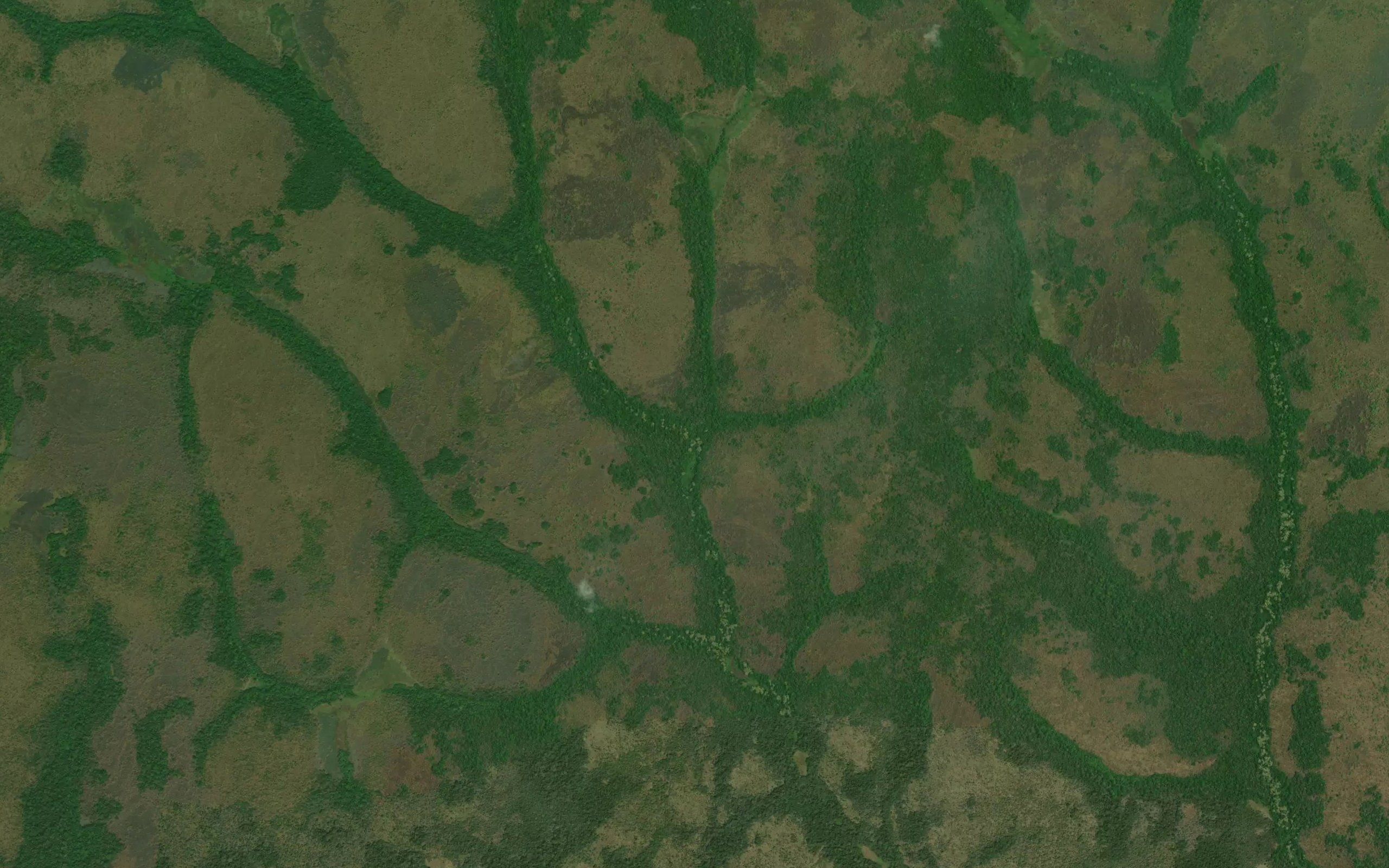 Vula
