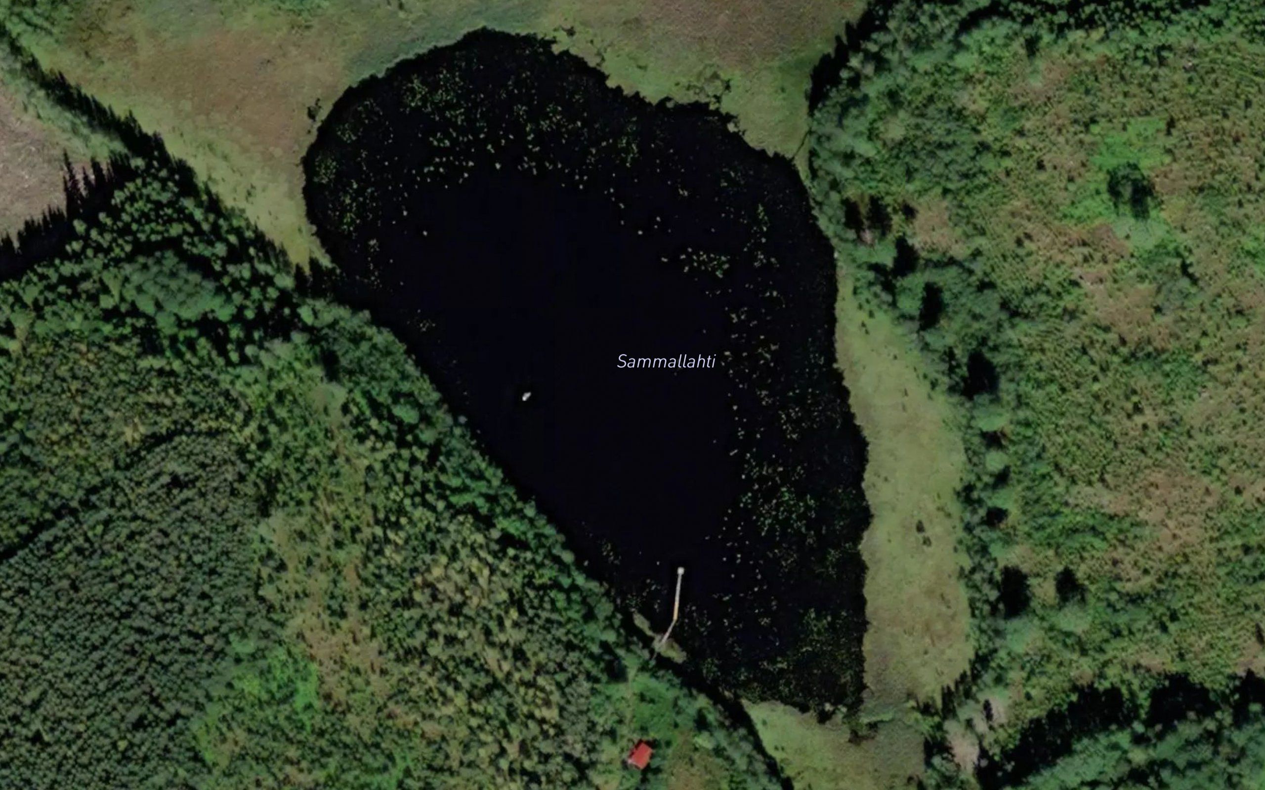 Sammallahti