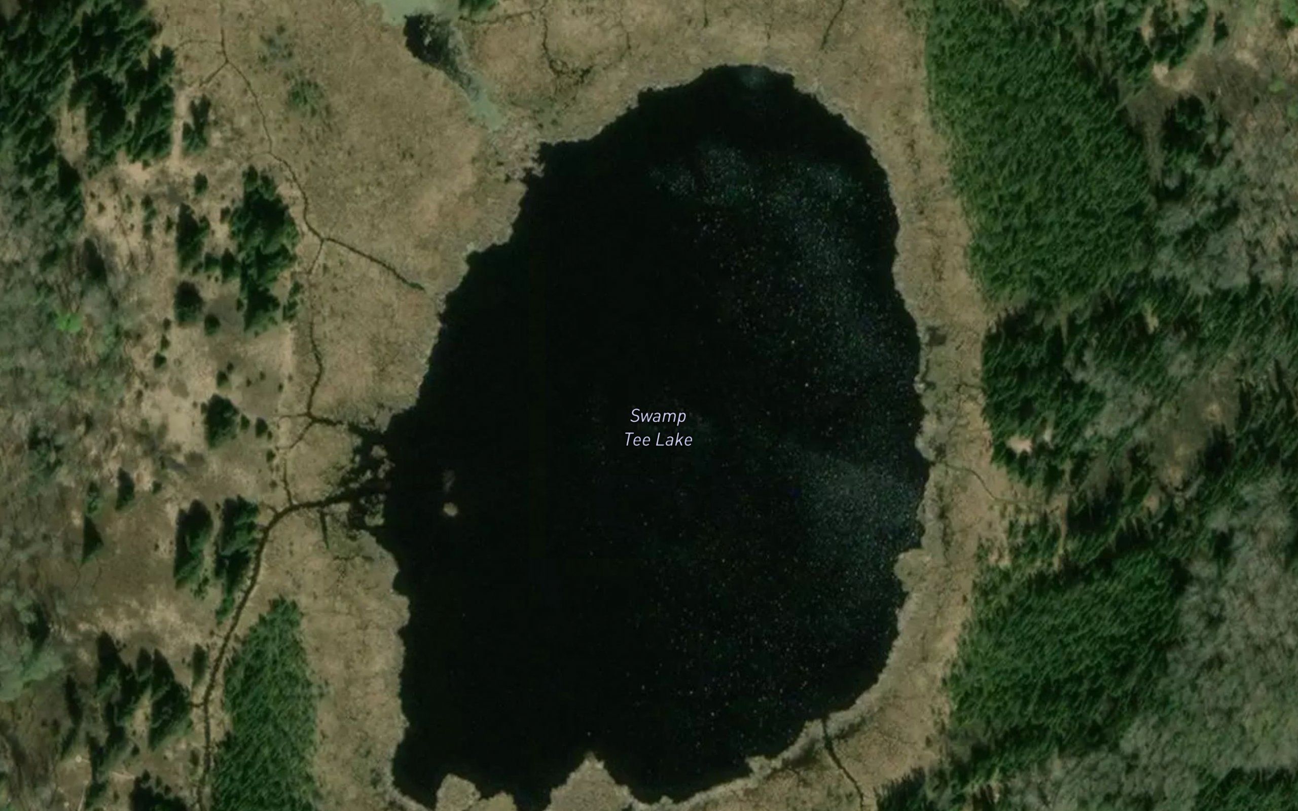 Swamp Tee Lake