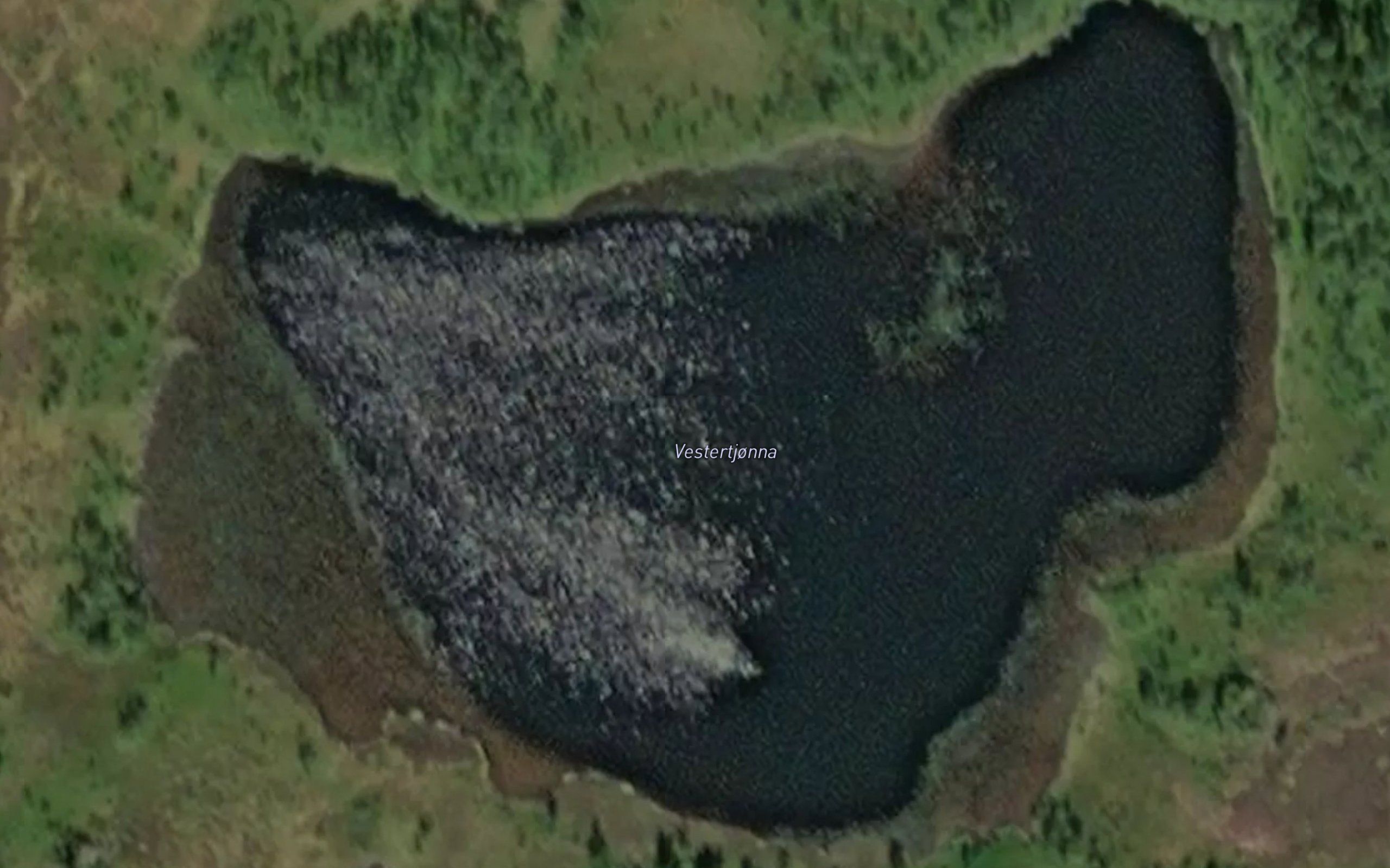Vestertjonna