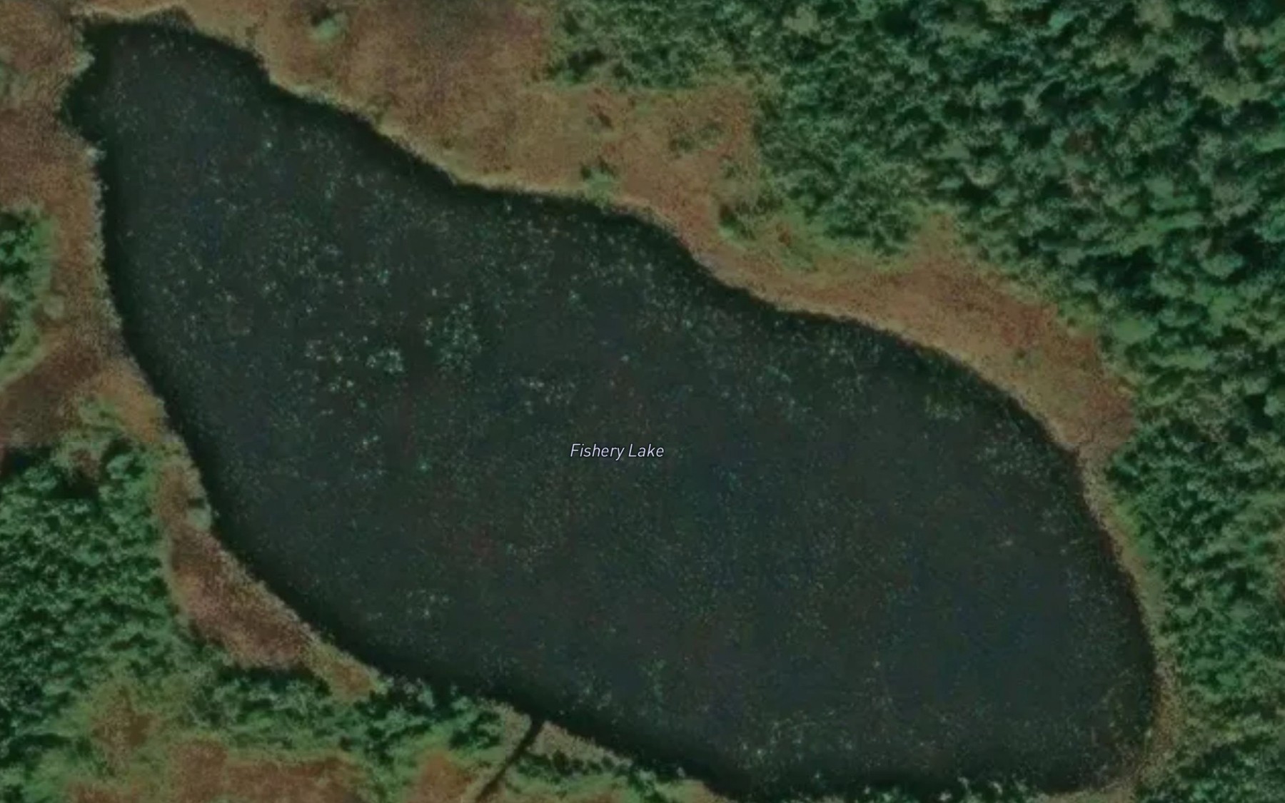 Satellite map of the Fishery Lake