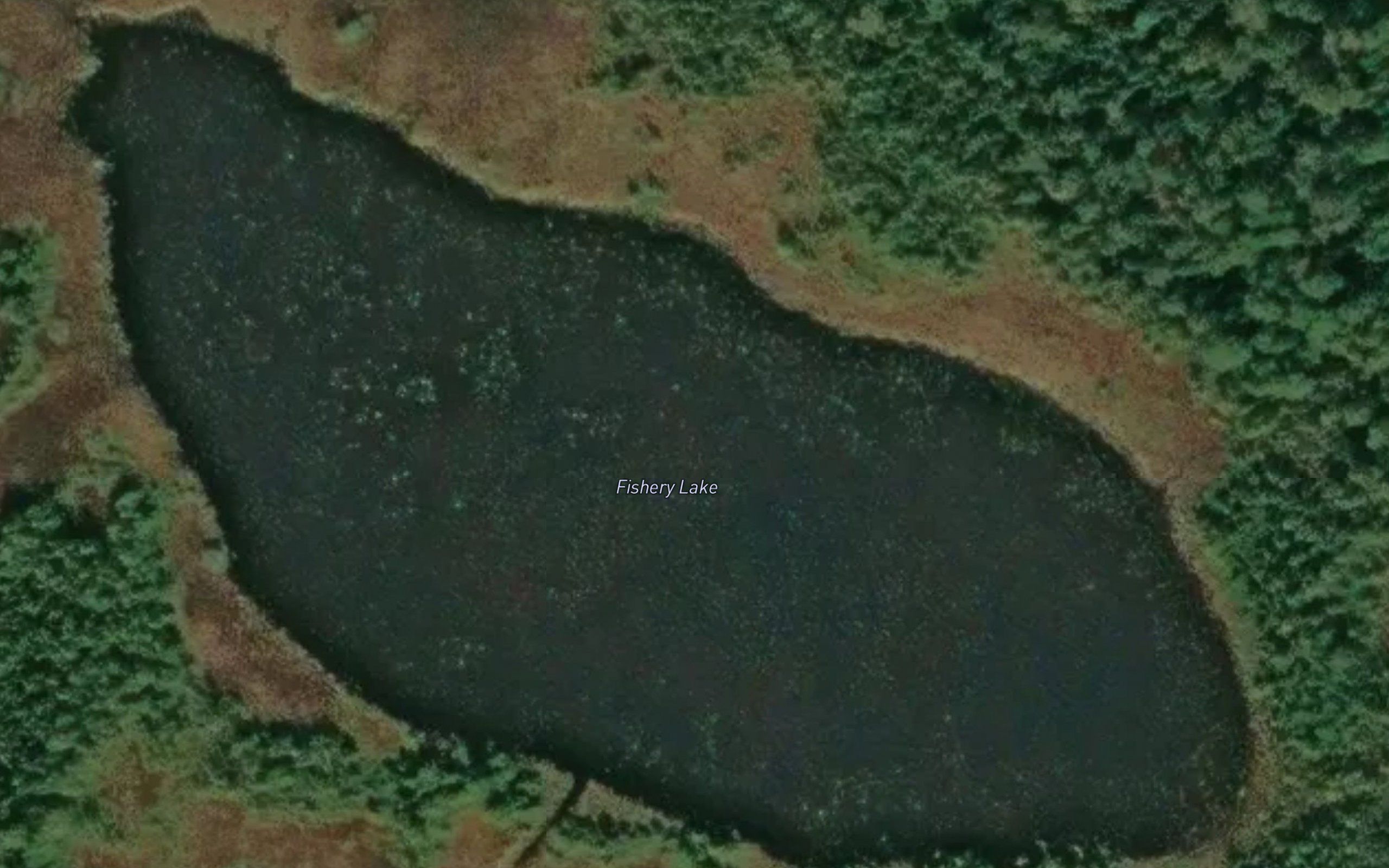 Fishery Lake