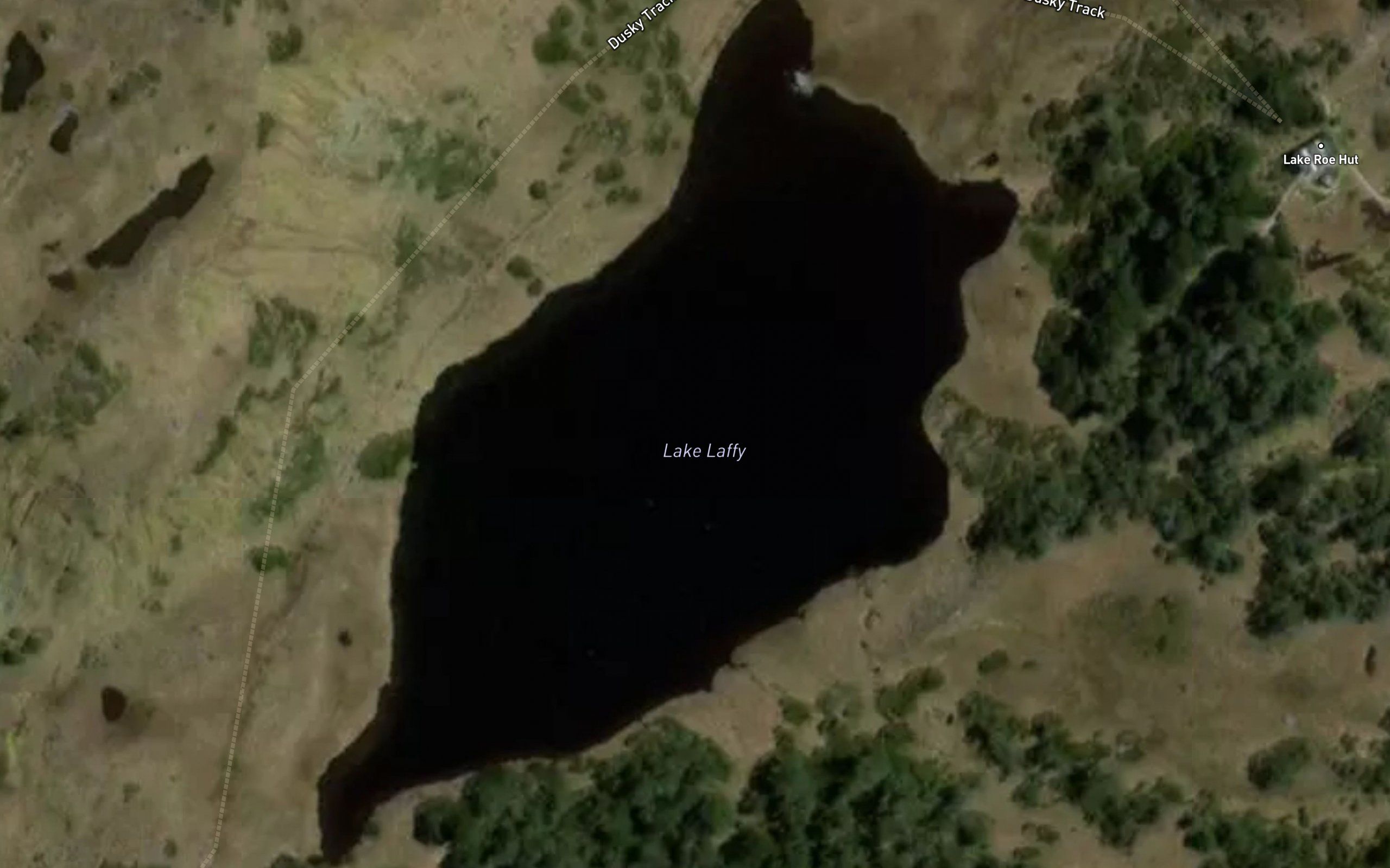 Lake Laffy