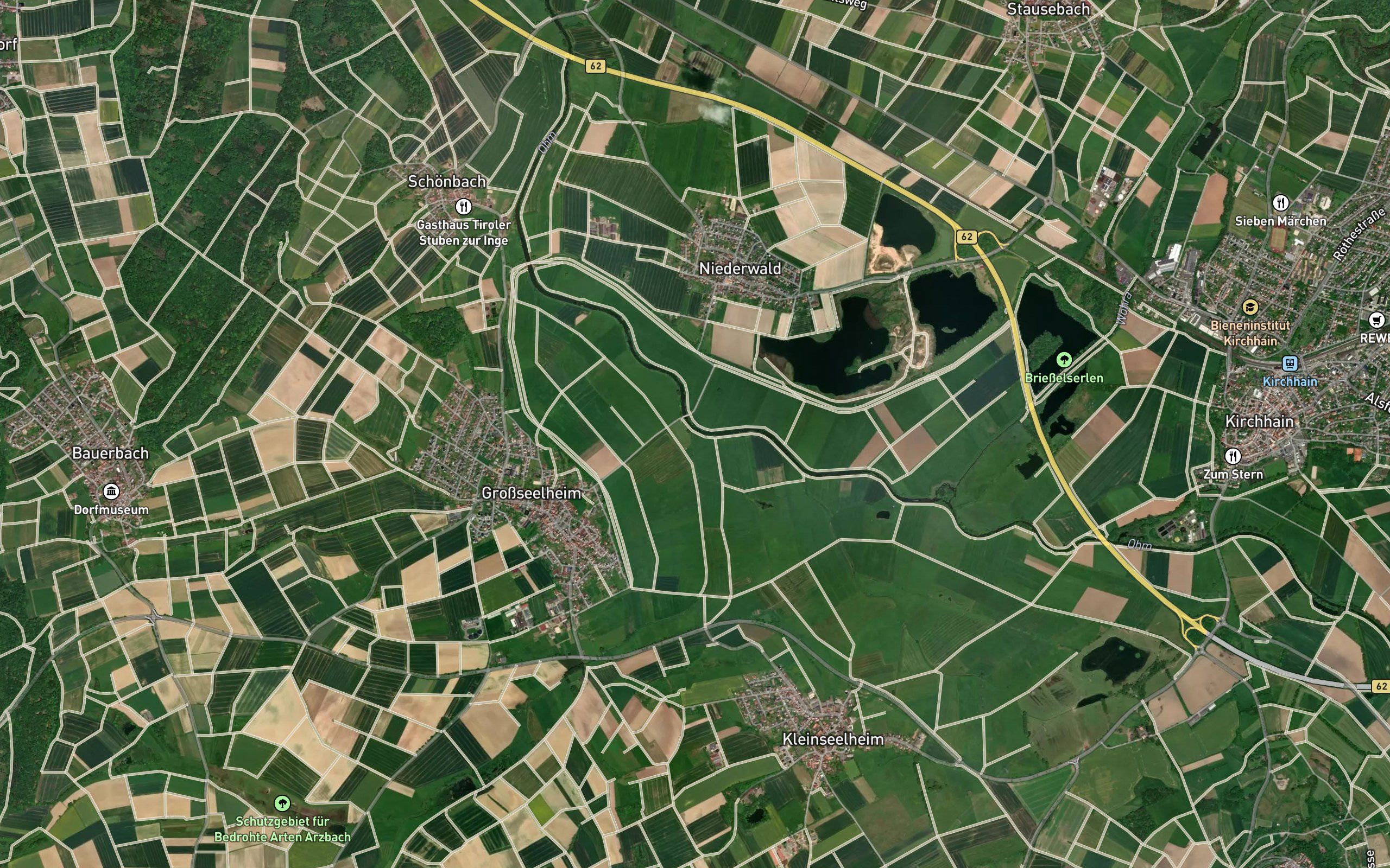 Wirft