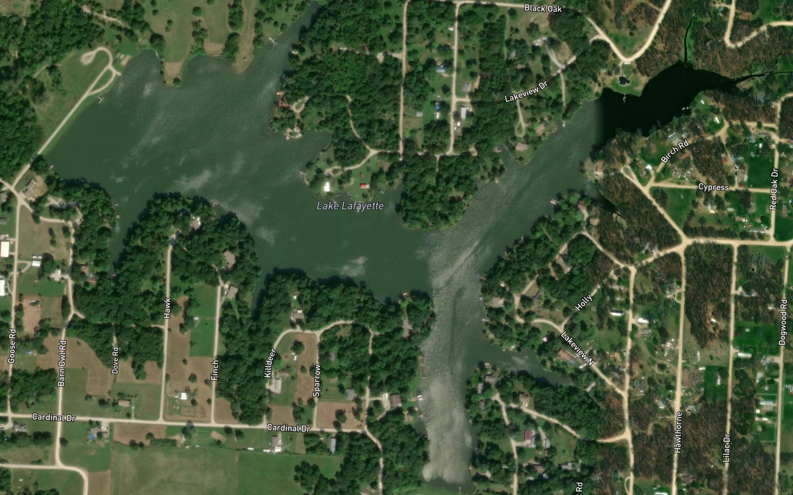 Lake Lafayette